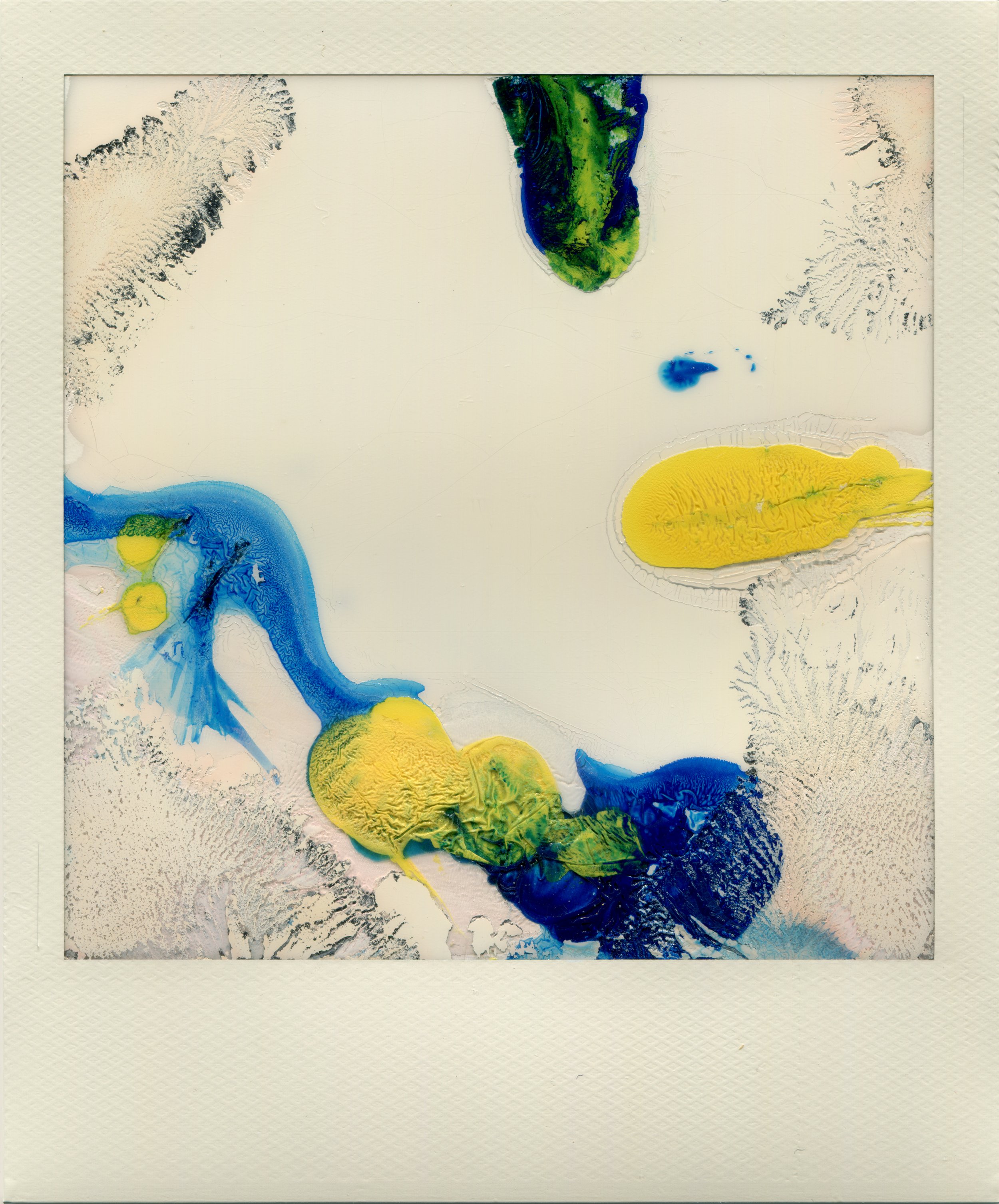 Polaroid-NRomay-pintura3.jpg