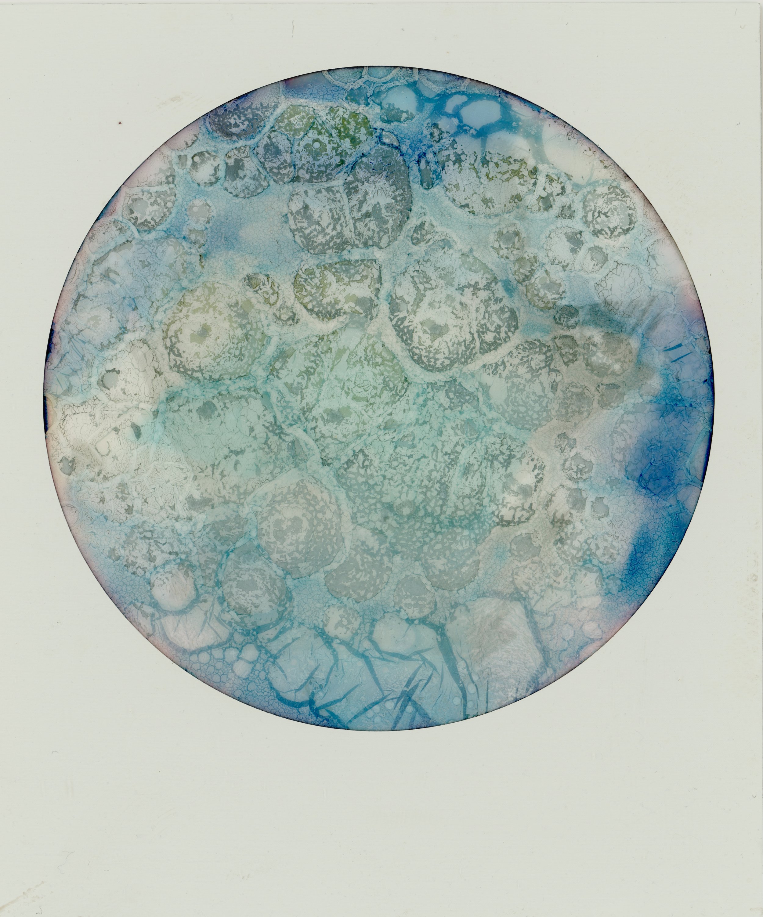 NATALIAROMAY_The dream place_Itype_Polaroidnow_1A.jpg