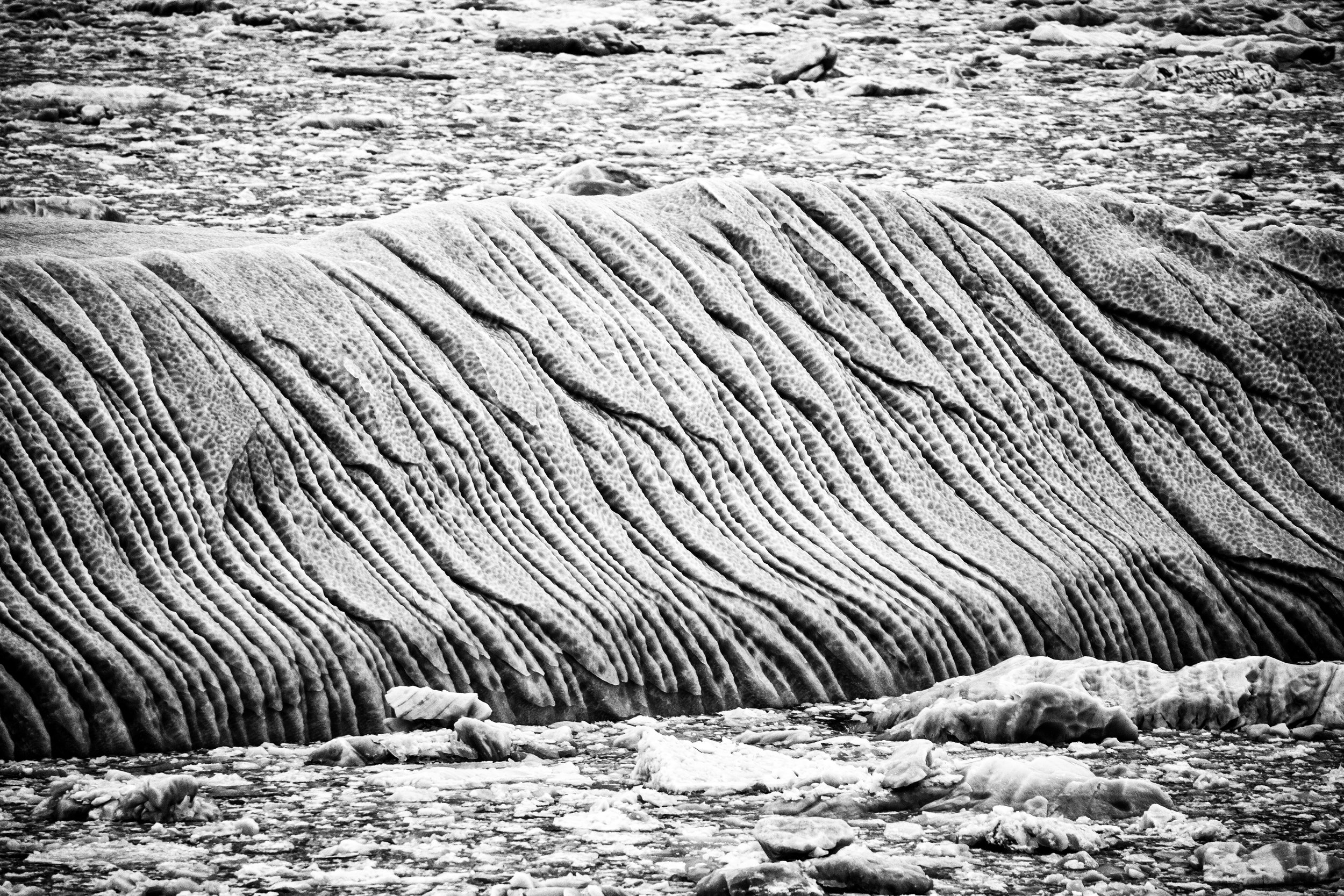 160131_01593-Edit.jpg
