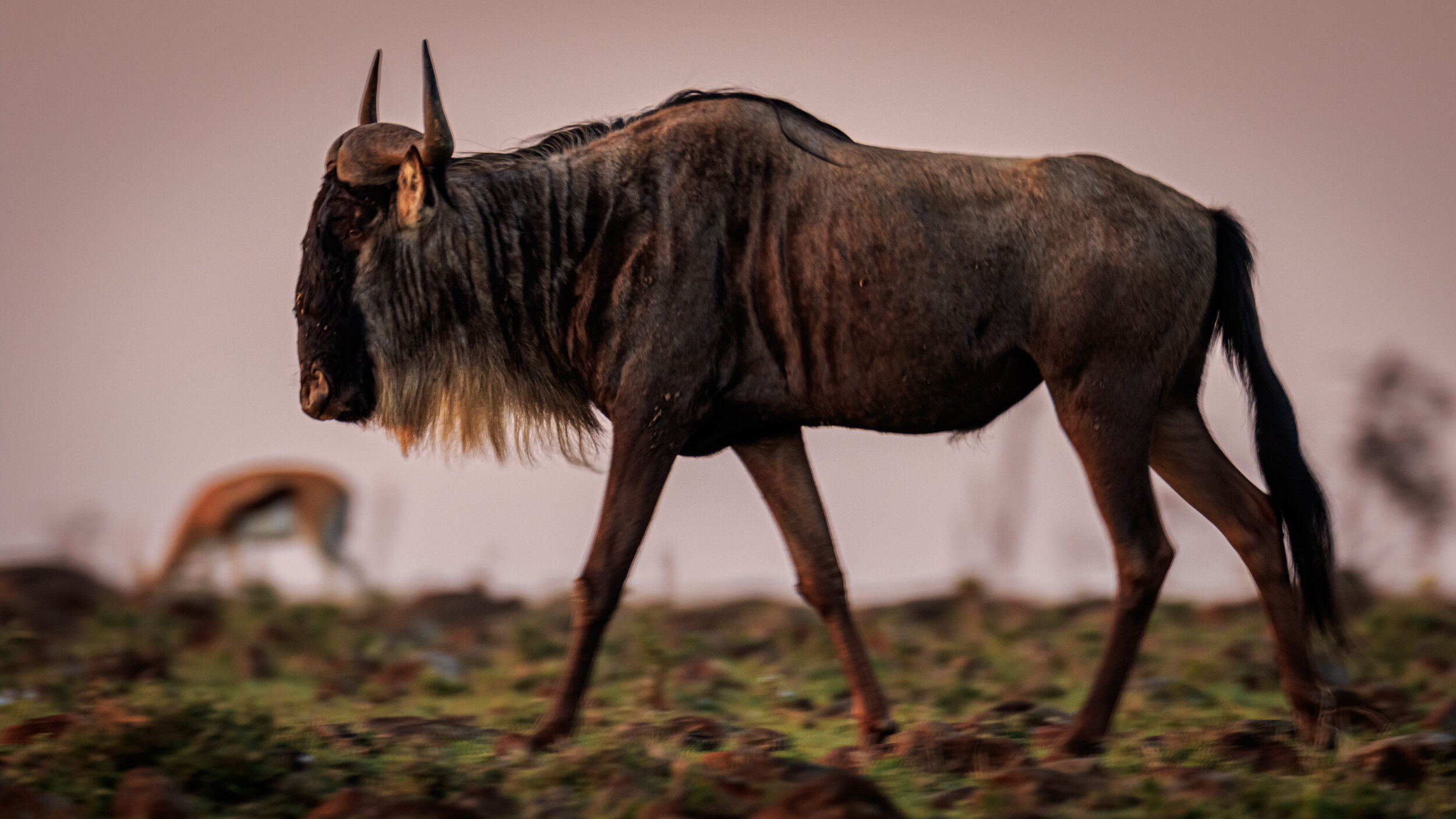 Safaricom_NatGeo_171015_0011-2.jpg