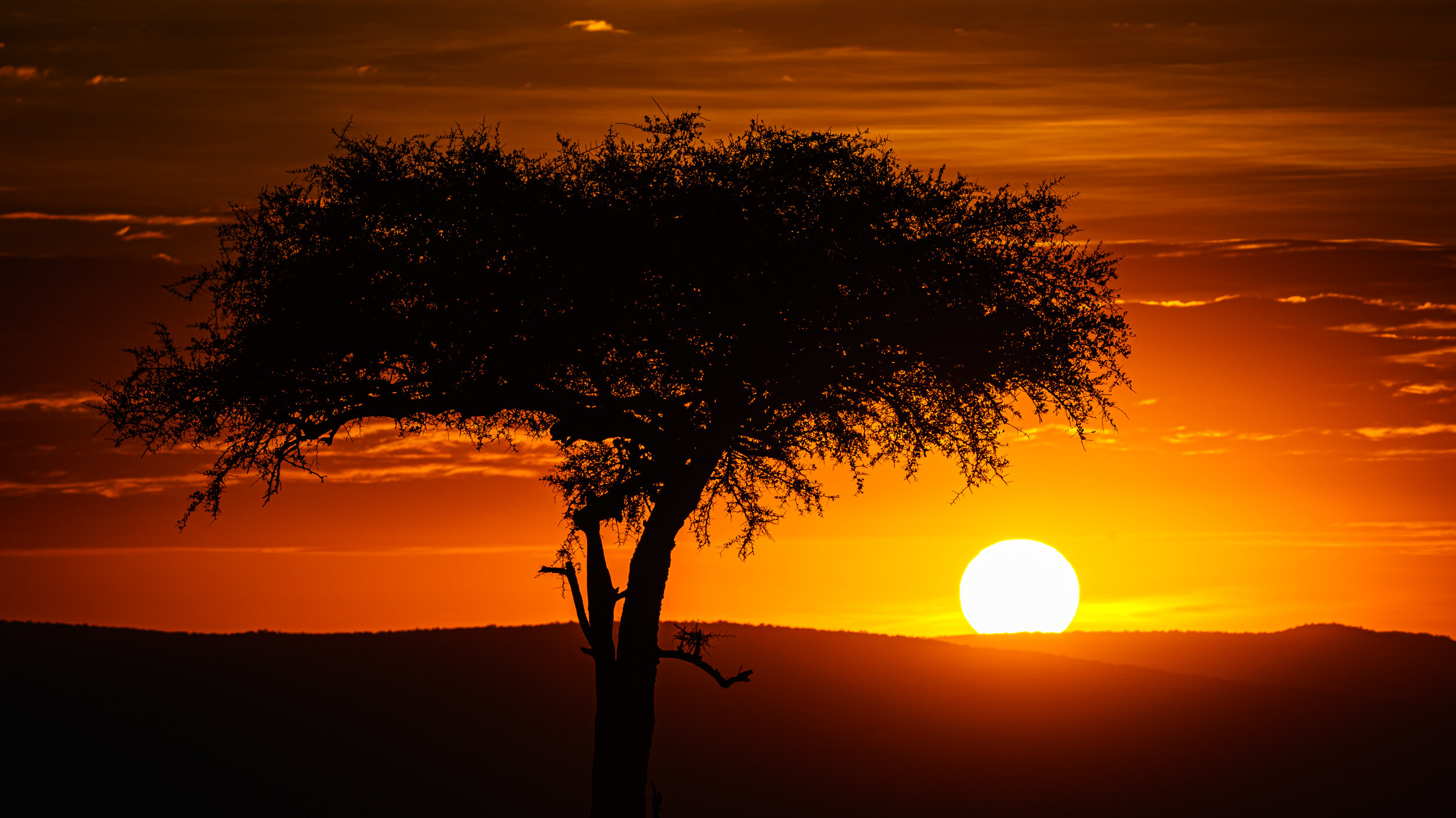 Safaricom_NatGeo_171015_0054.jpg
