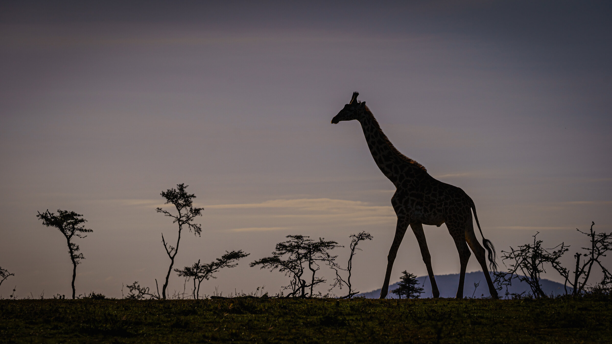 Safaricom_NatGeo_171015_0296.jpg