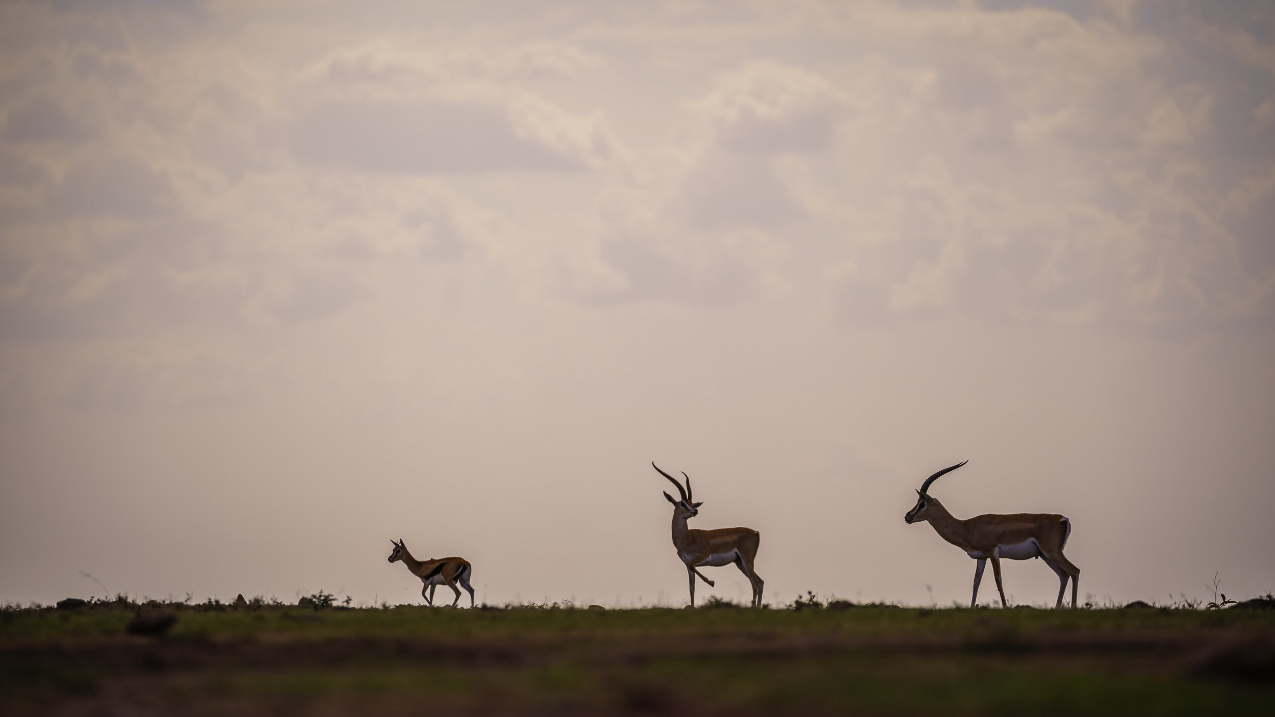 Safaricom_NatGeo_171015_1038.jpg