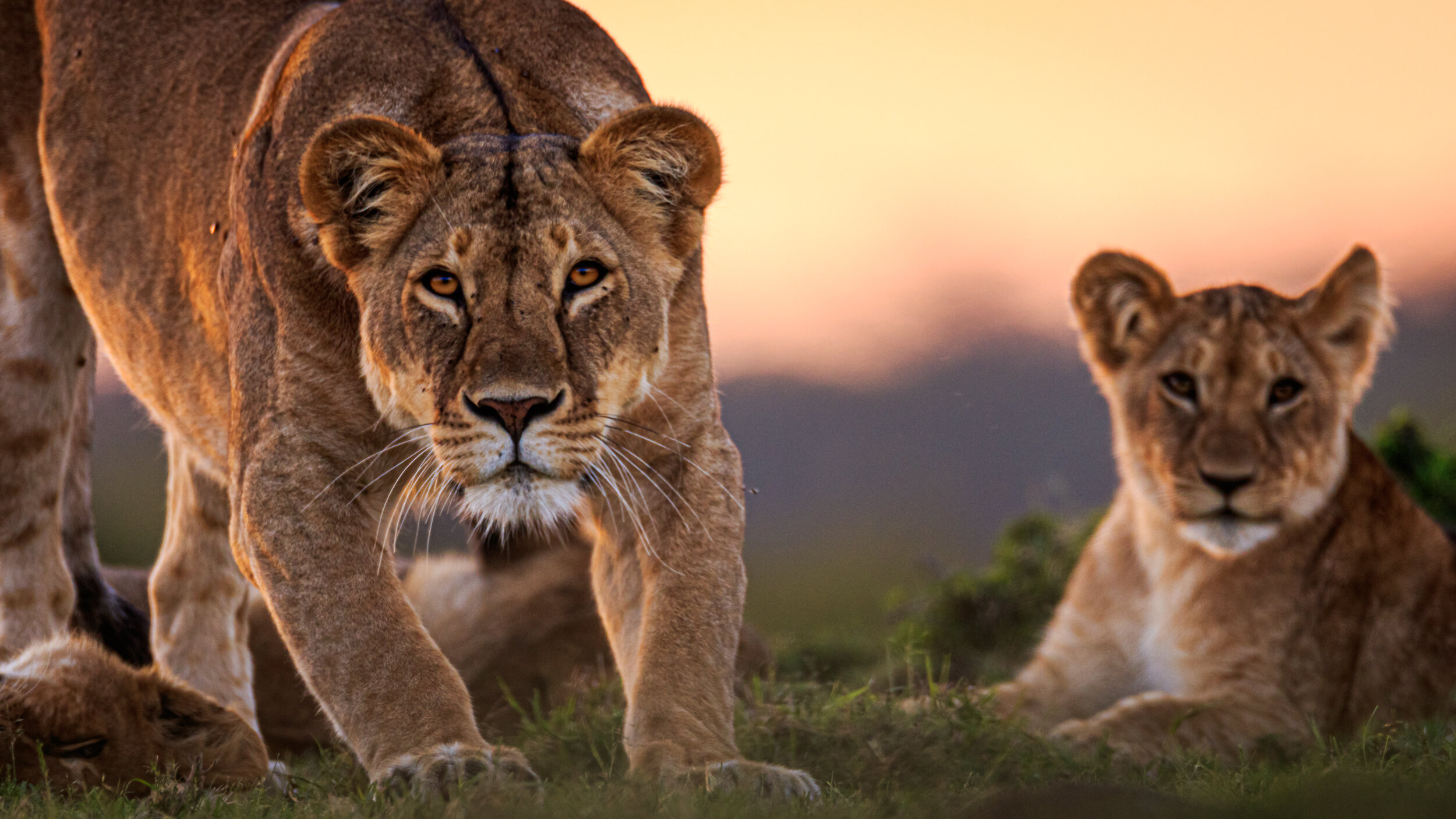 Safaricom_NatGeo_171015_1519-2.jpg