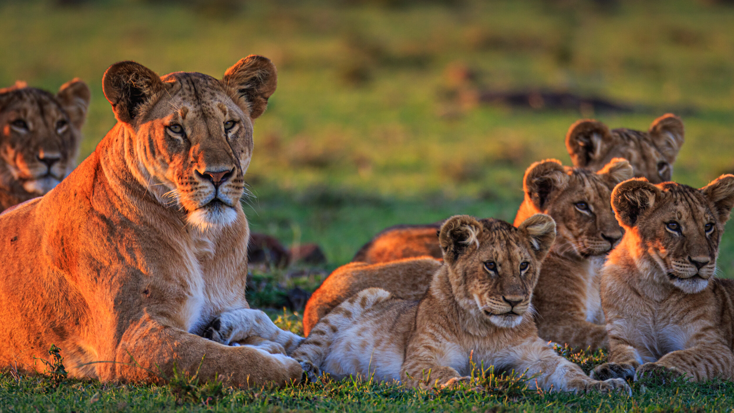 Safaricom_NatGeo_171015_1651.jpg