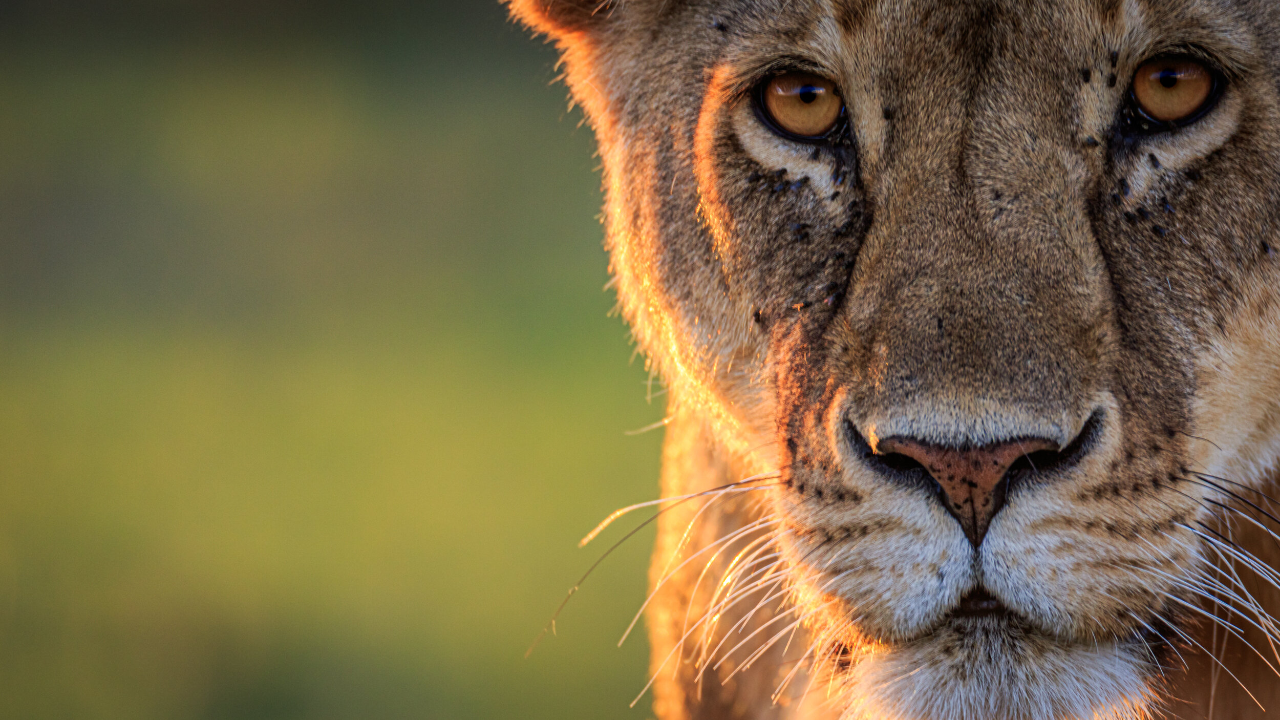 Safaricom_NatGeo_171015_1613-2.jpg