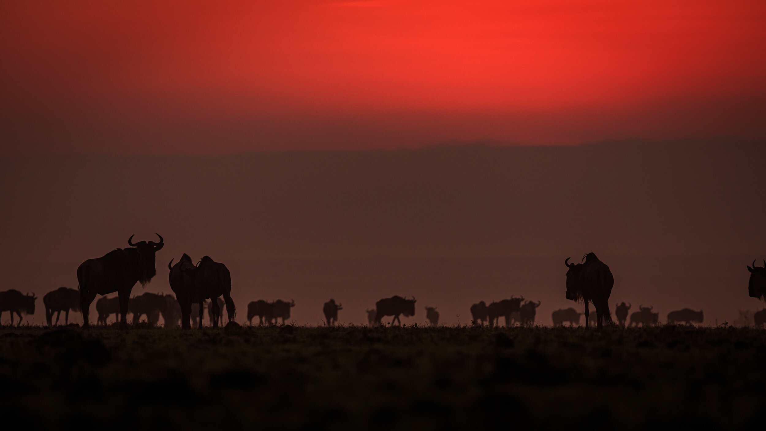 Safaricom_NatGeo_171016_2639.jpg