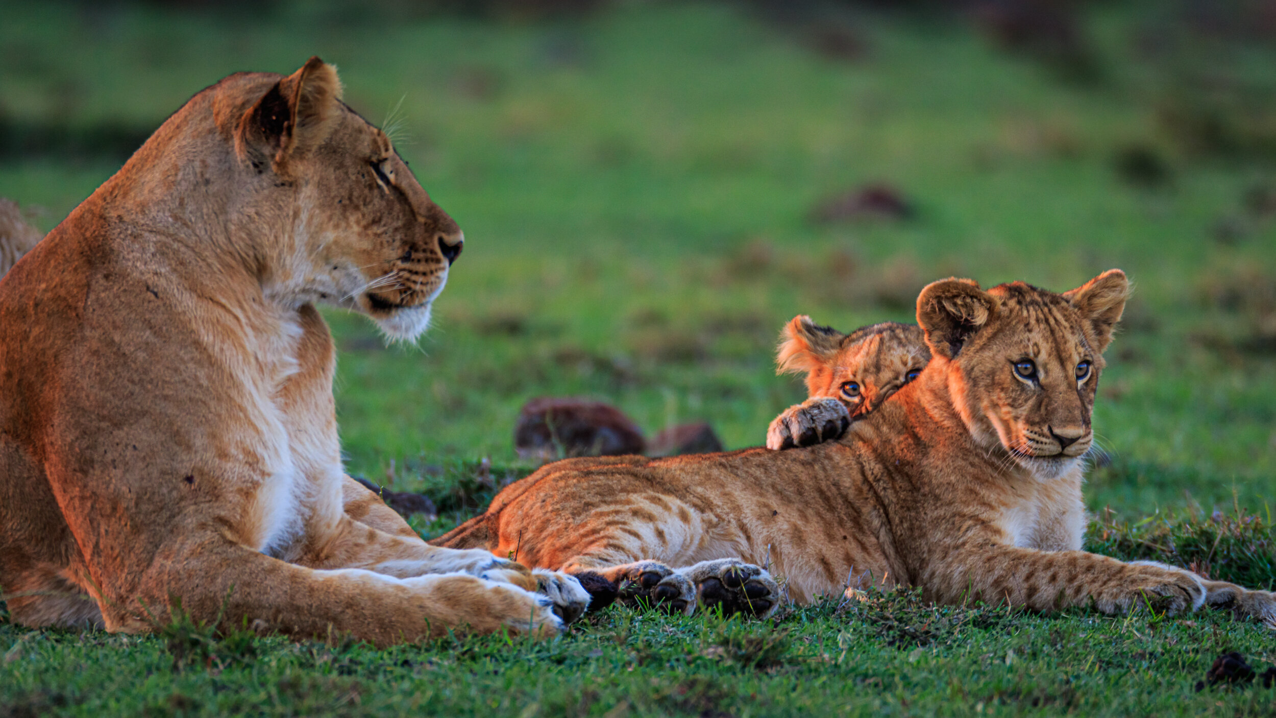Safaricom_NatGeo_171015_1861-2.jpg