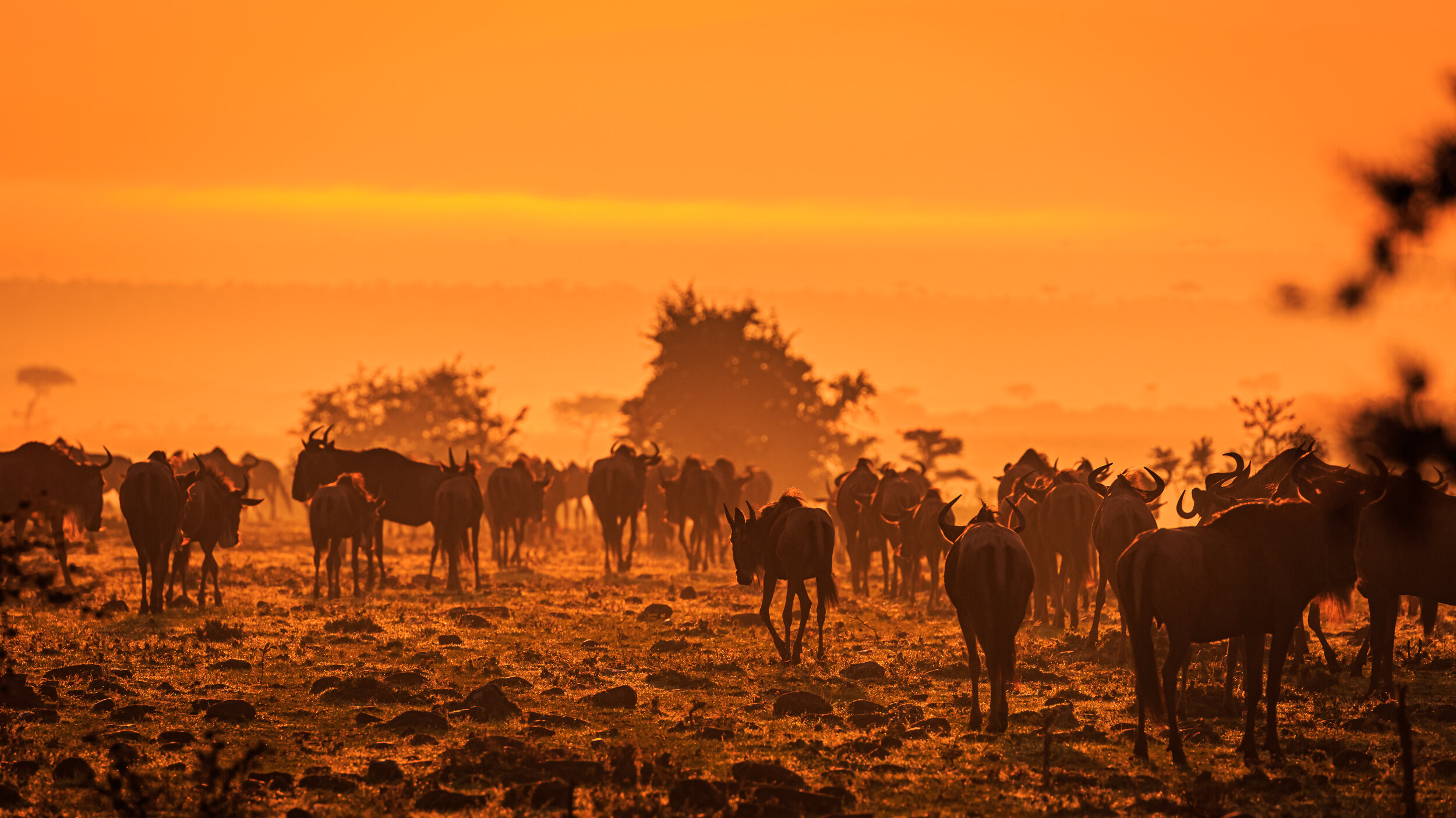Safaricom_NatGeo_171016_3029.jpg