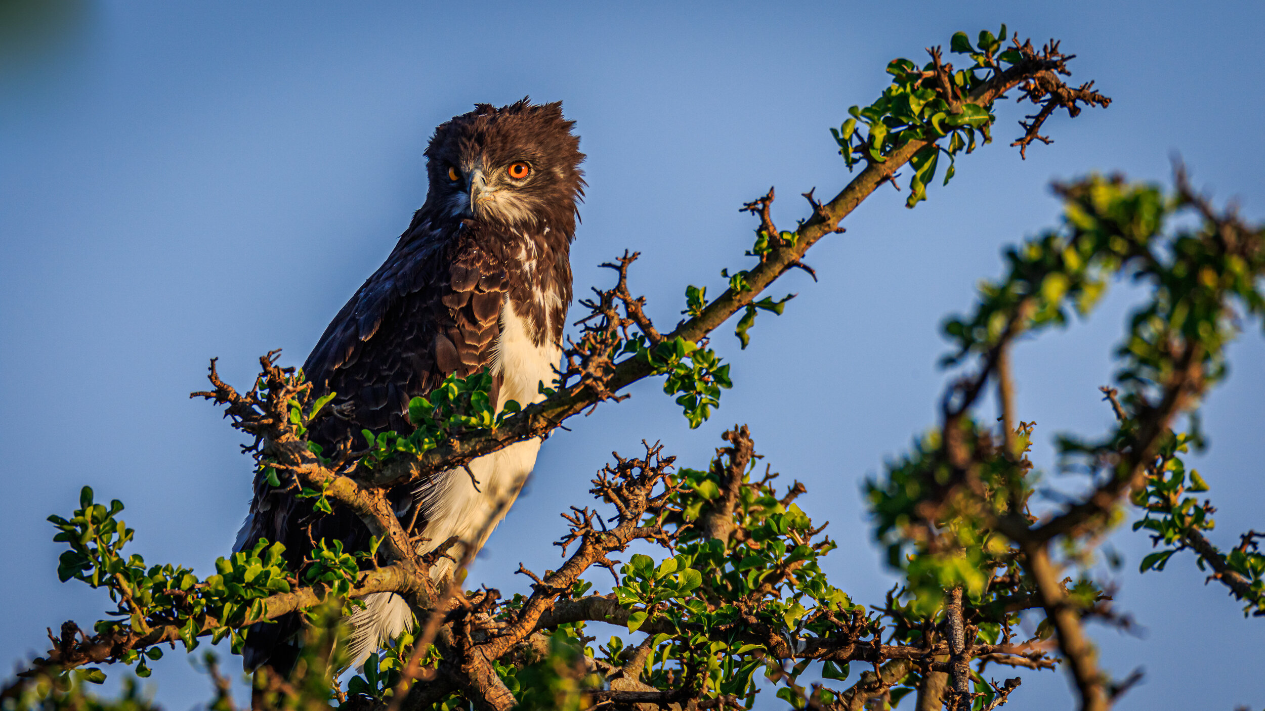 Safaricom_NatGeo_171016_3121.jpg