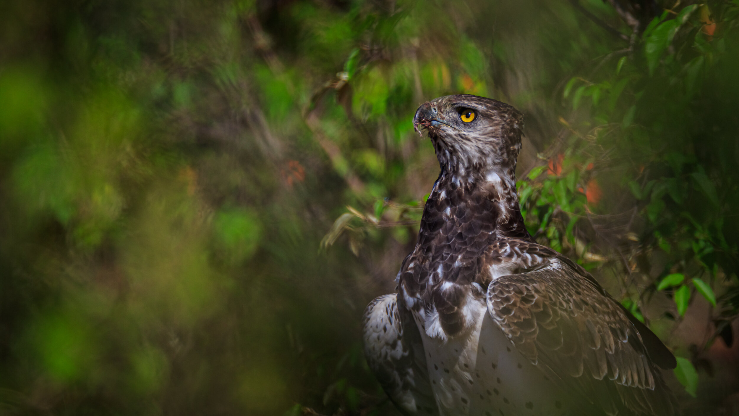 Safaricom_NatGeo_171016_3463-2.jpg