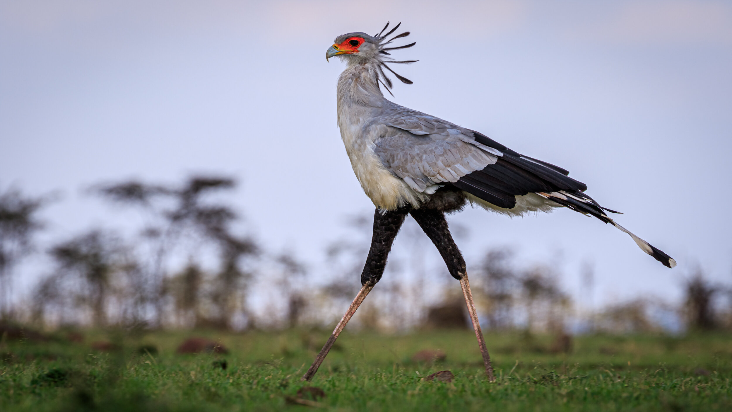 Safaricom_NatGeo_171016_4902.jpg