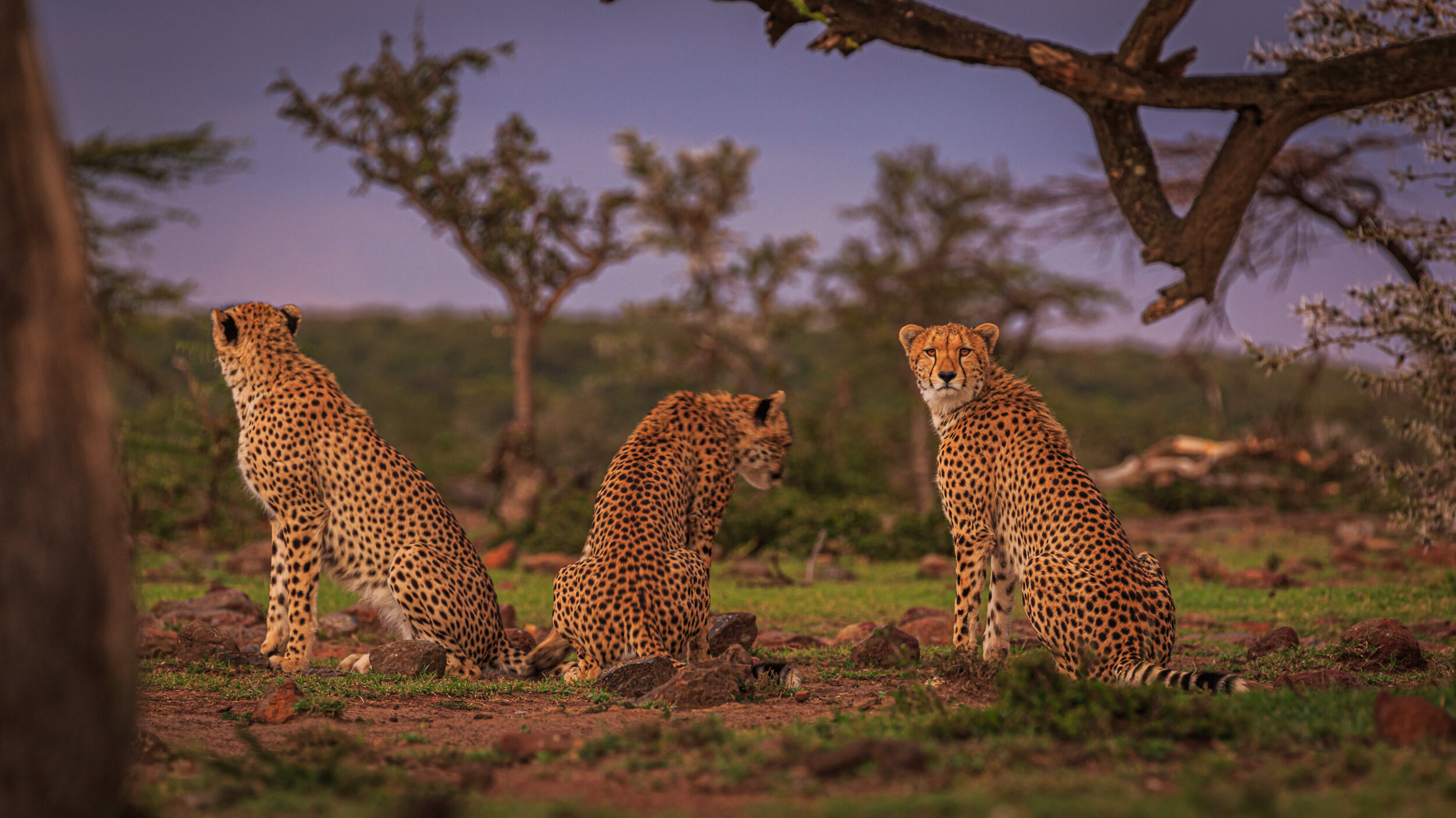 Safaricom_NatGeo_171016_5039.jpg