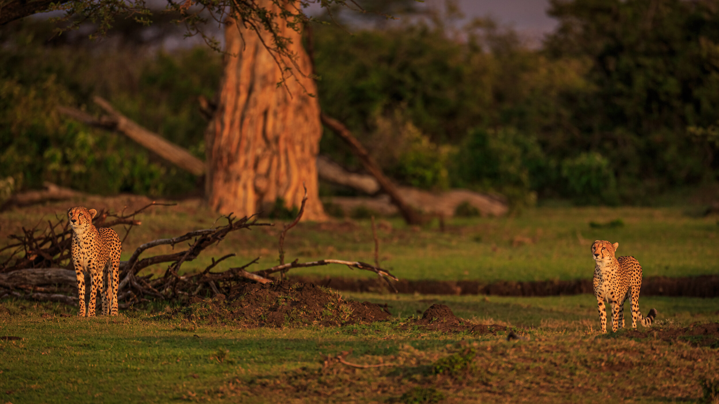 Safaricom_NatGeo_171016_5141.jpg