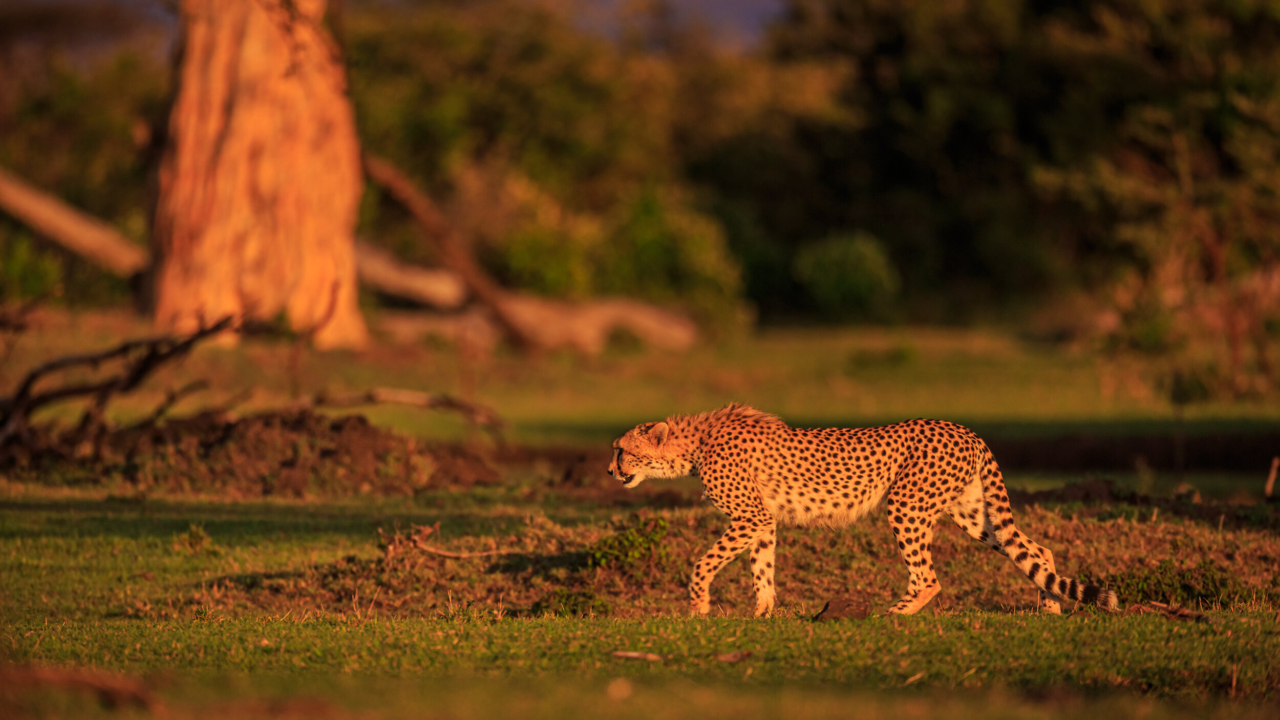Safaricom_NatGeo_171016_5199.jpg