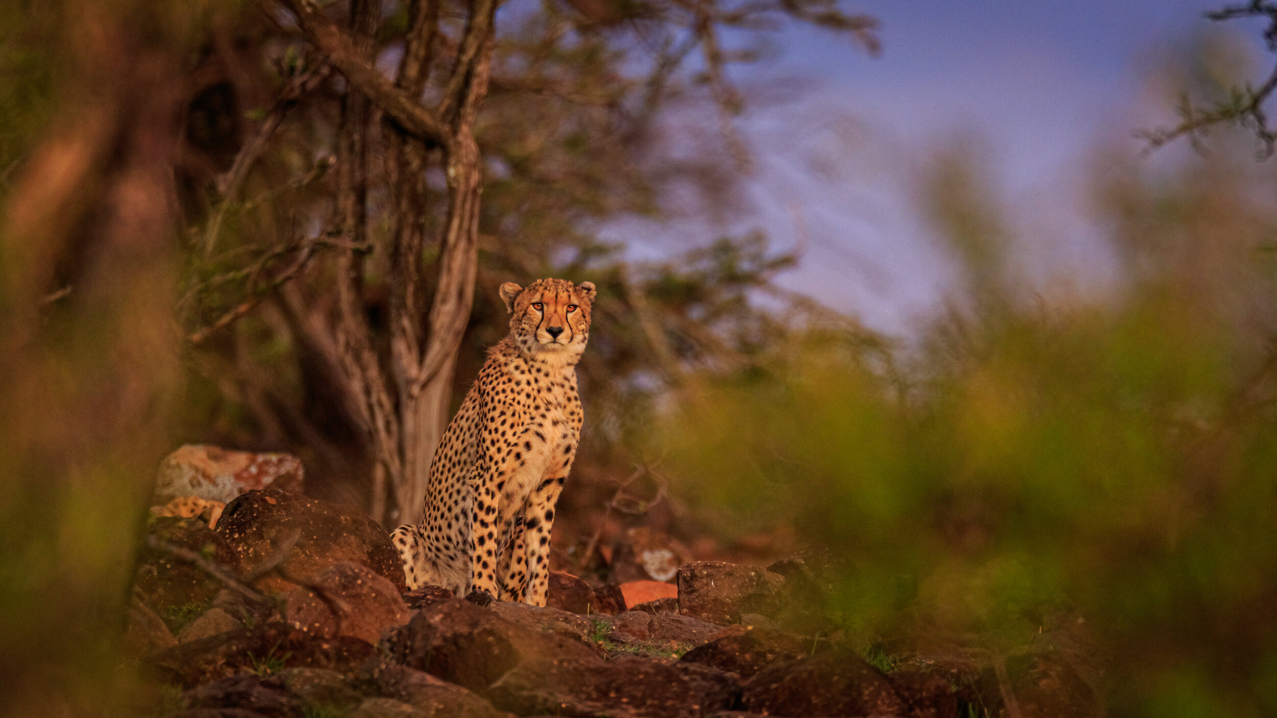 Safaricom_NatGeo_171016_5254.jpg