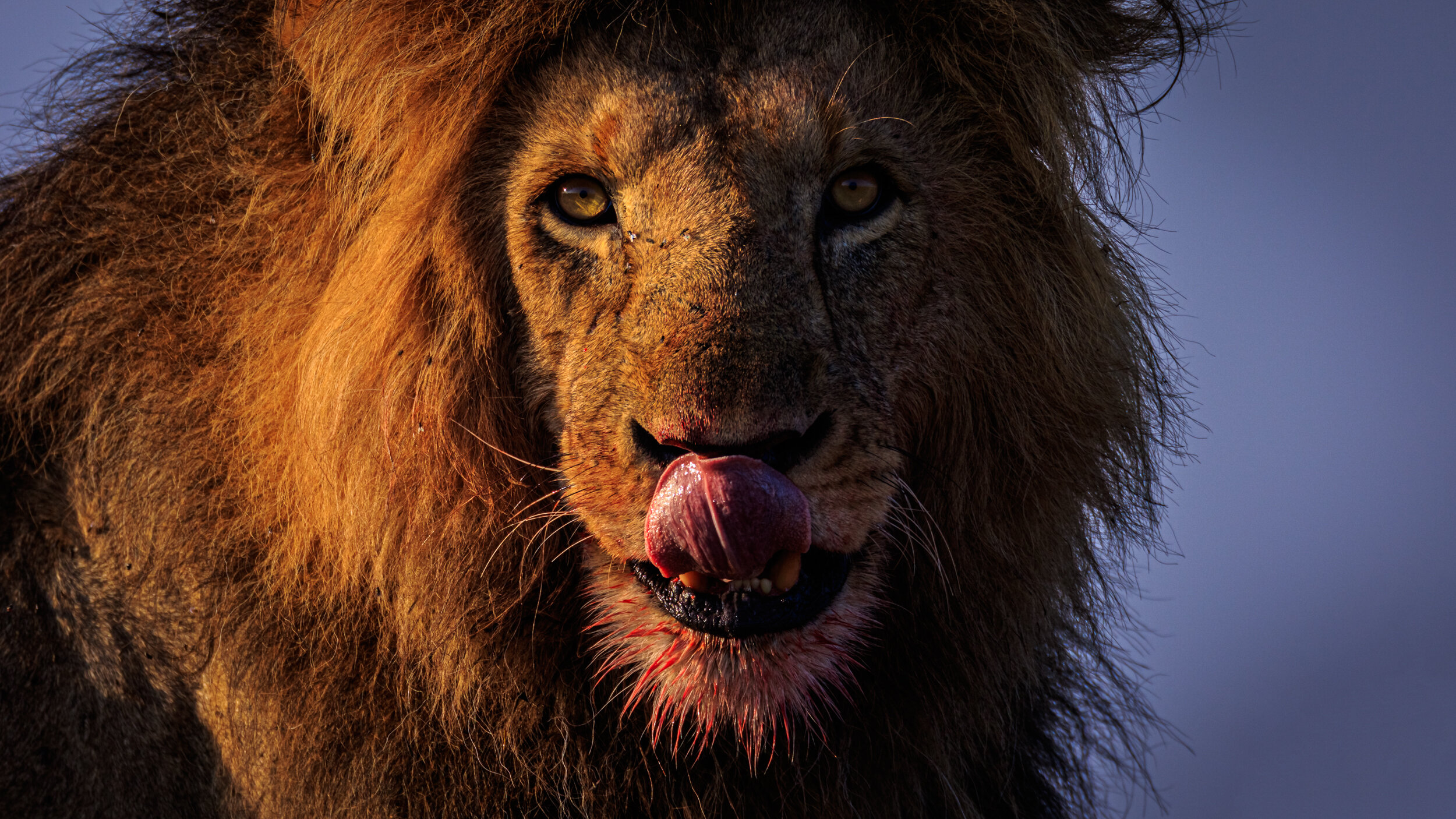 Safaricom_NatGeo_171017_5753-Edit.jpg