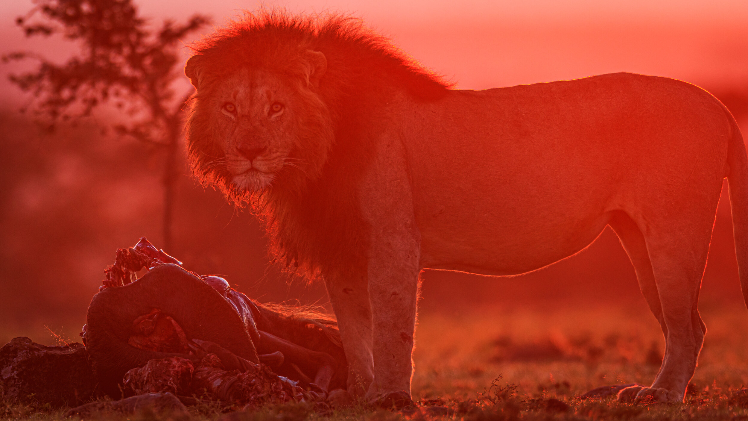 Safaricom_NatGeo_171017_5979.jpg