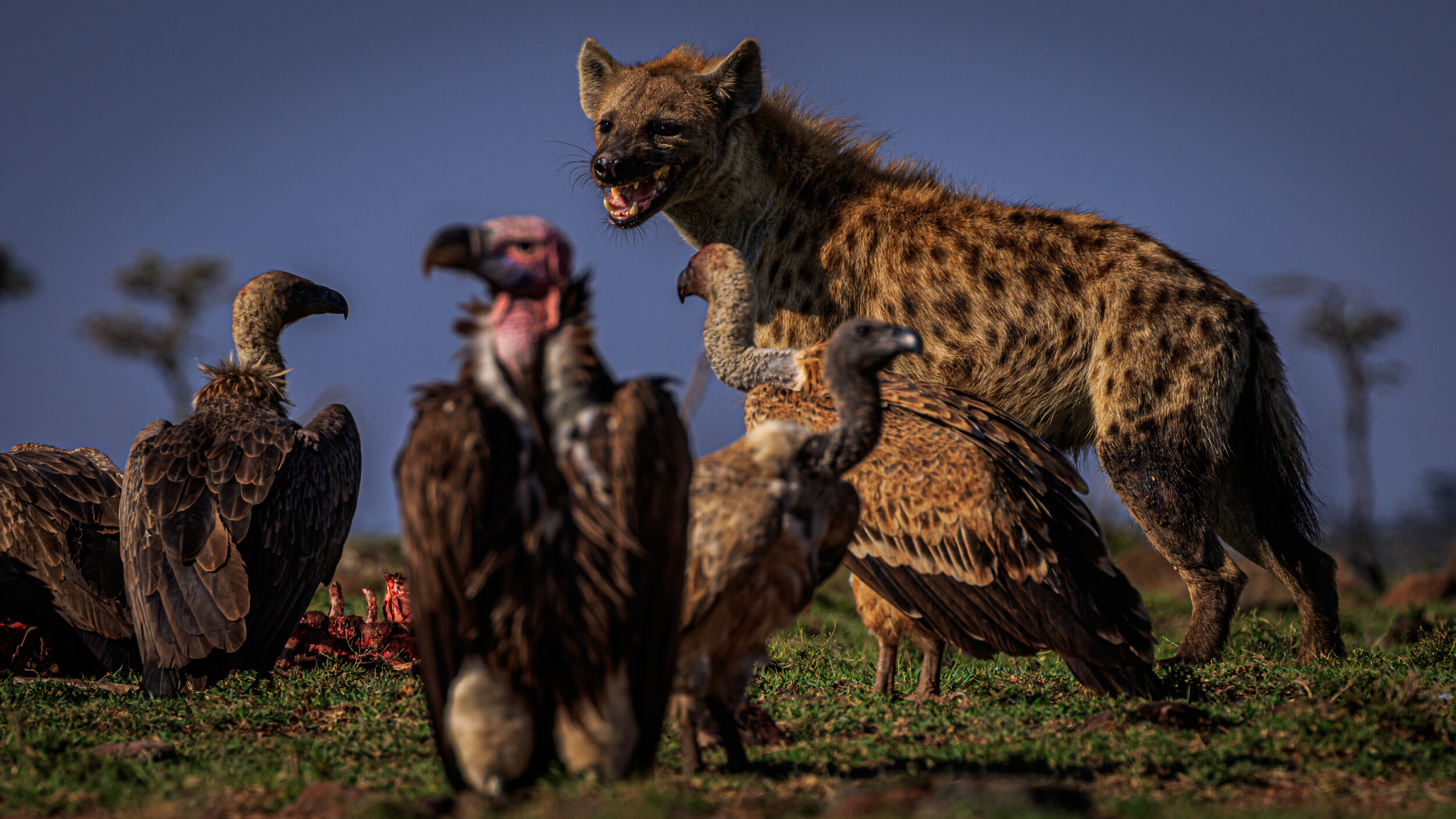 Safaricom_NatGeo_171017_6189.jpg