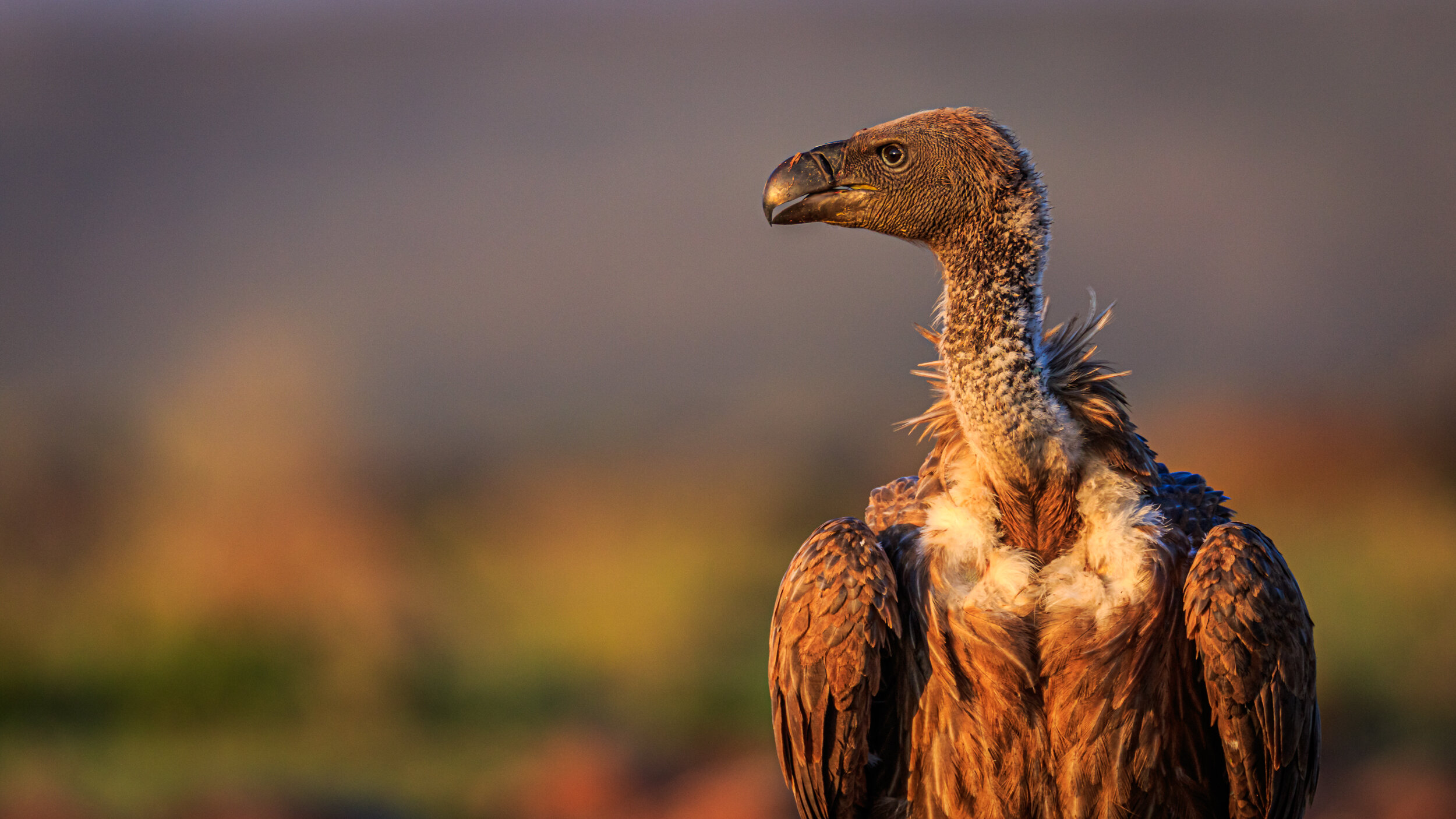 Safaricom_NatGeo_171017_6356.jpg