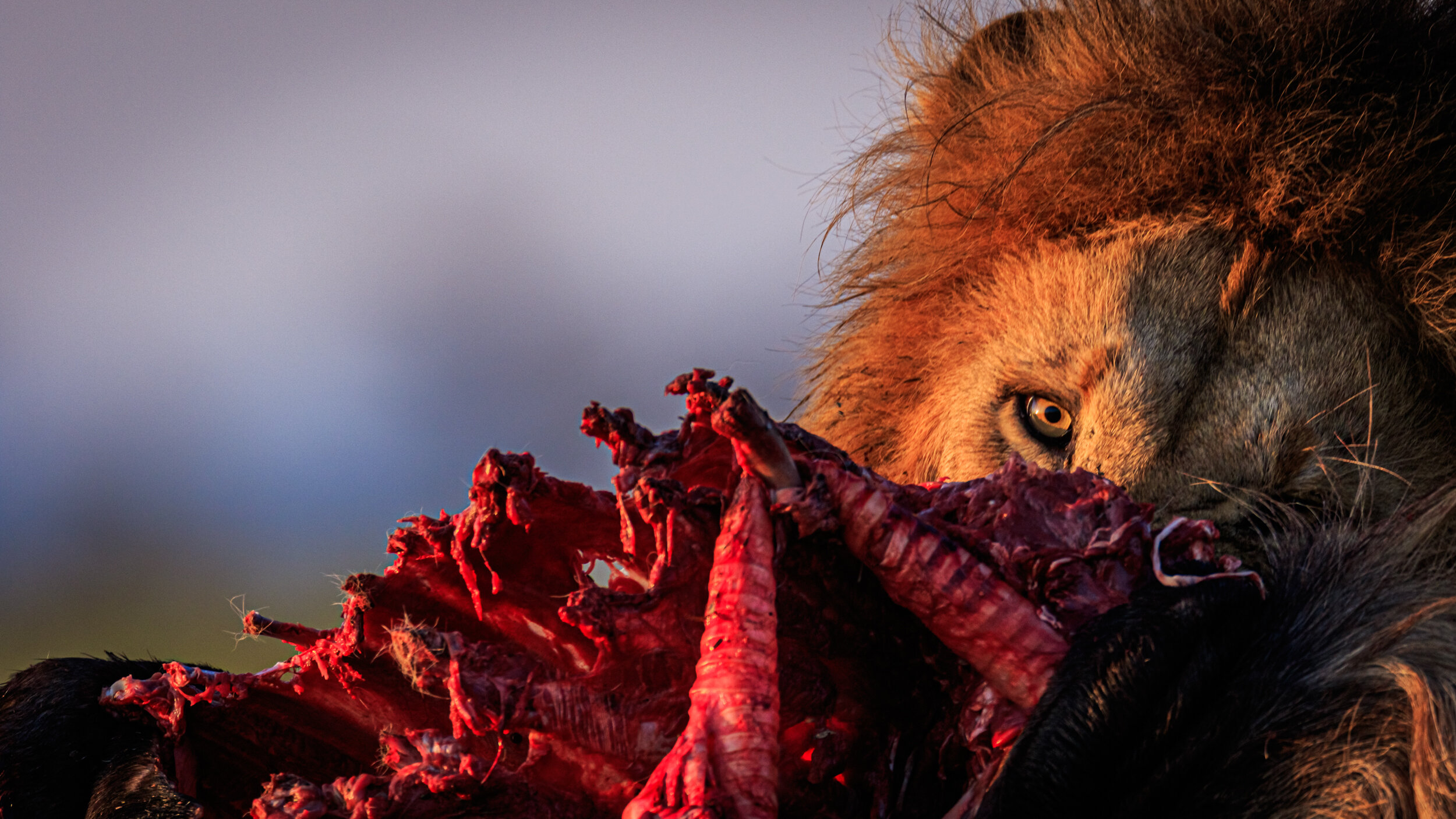Safaricom_NatGeo_171017_6704.jpg