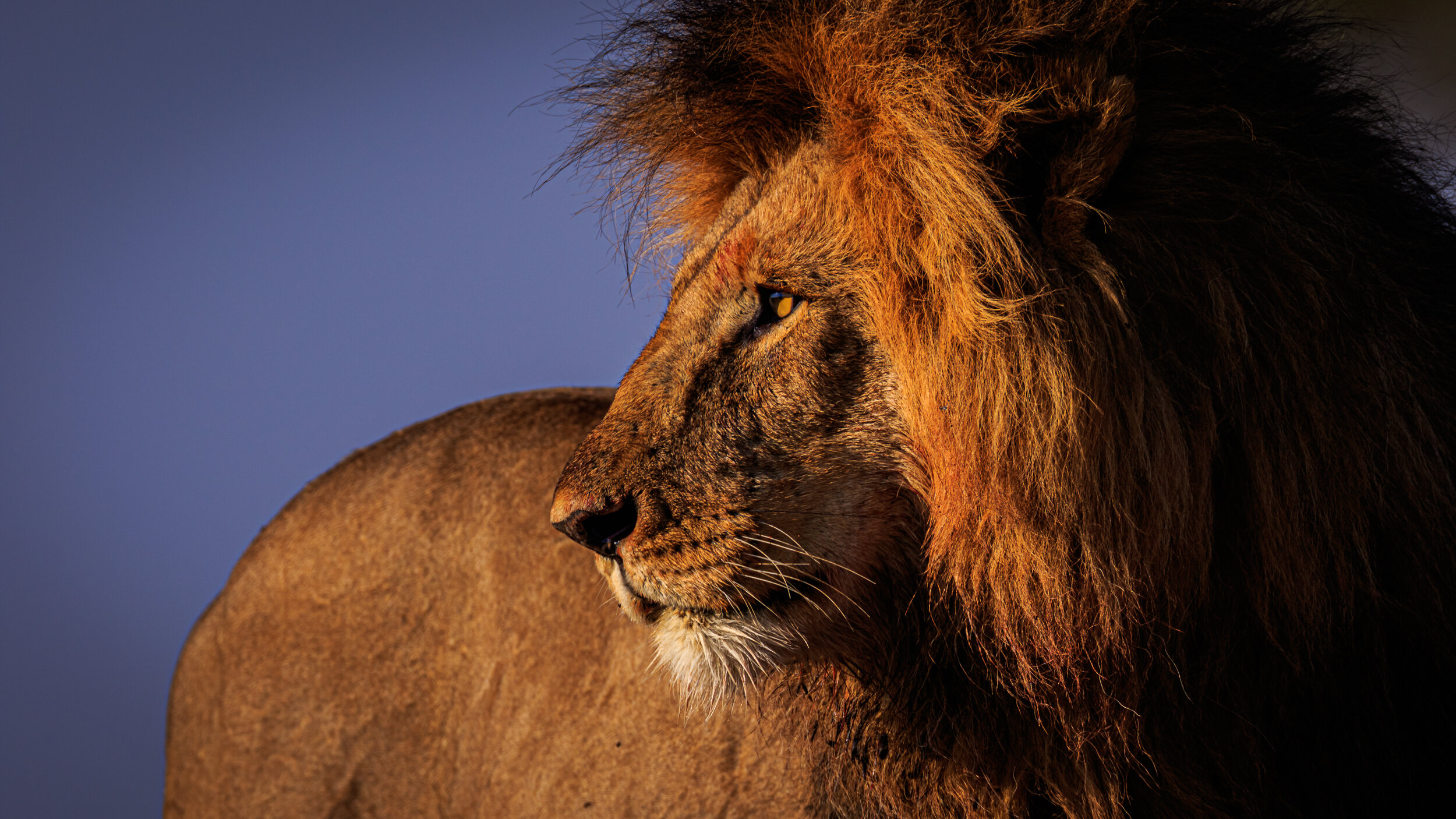 Safaricom_NatGeo_171017_6450.jpg