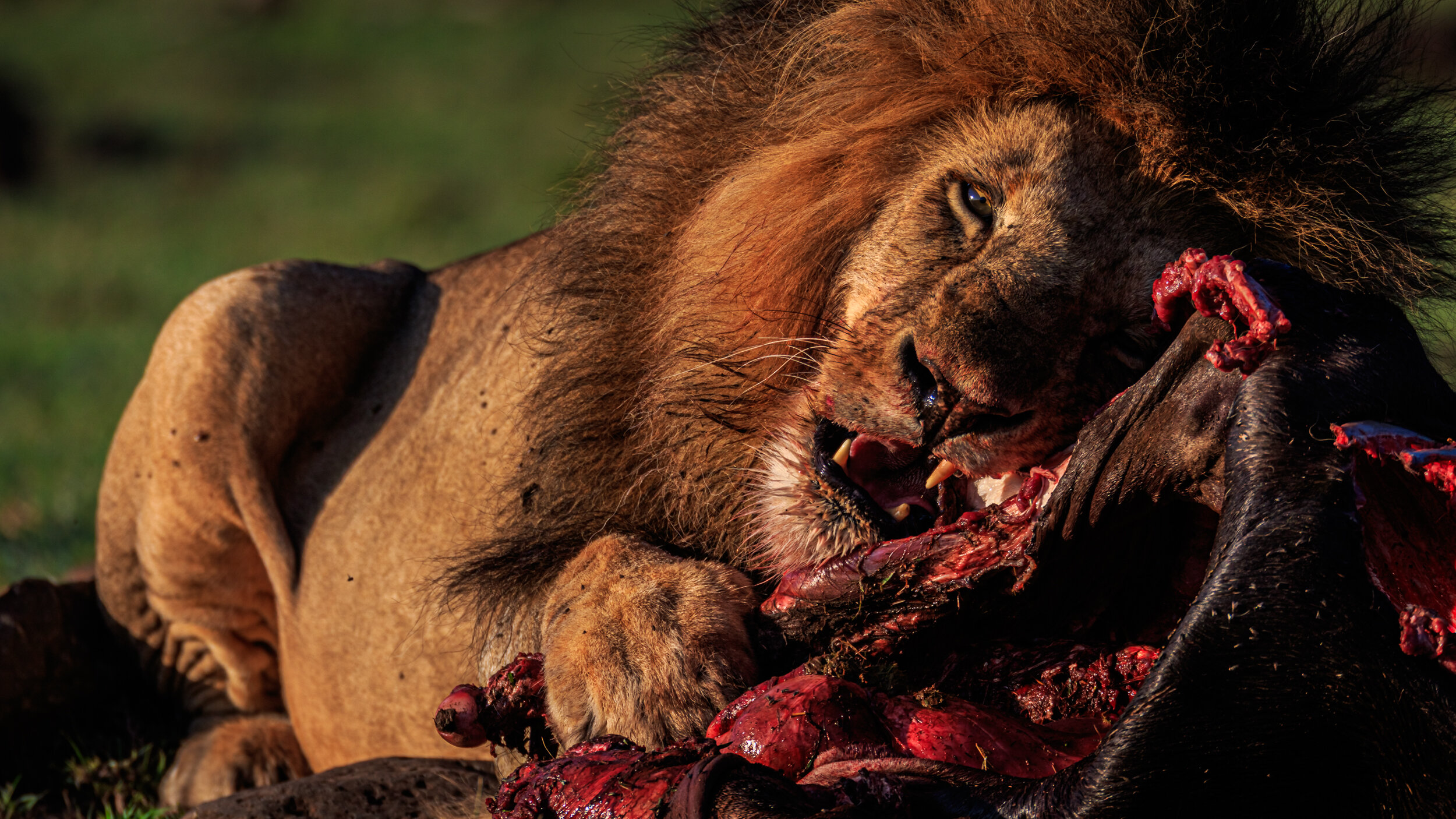 Safaricom_NatGeo_171017_6801.jpg