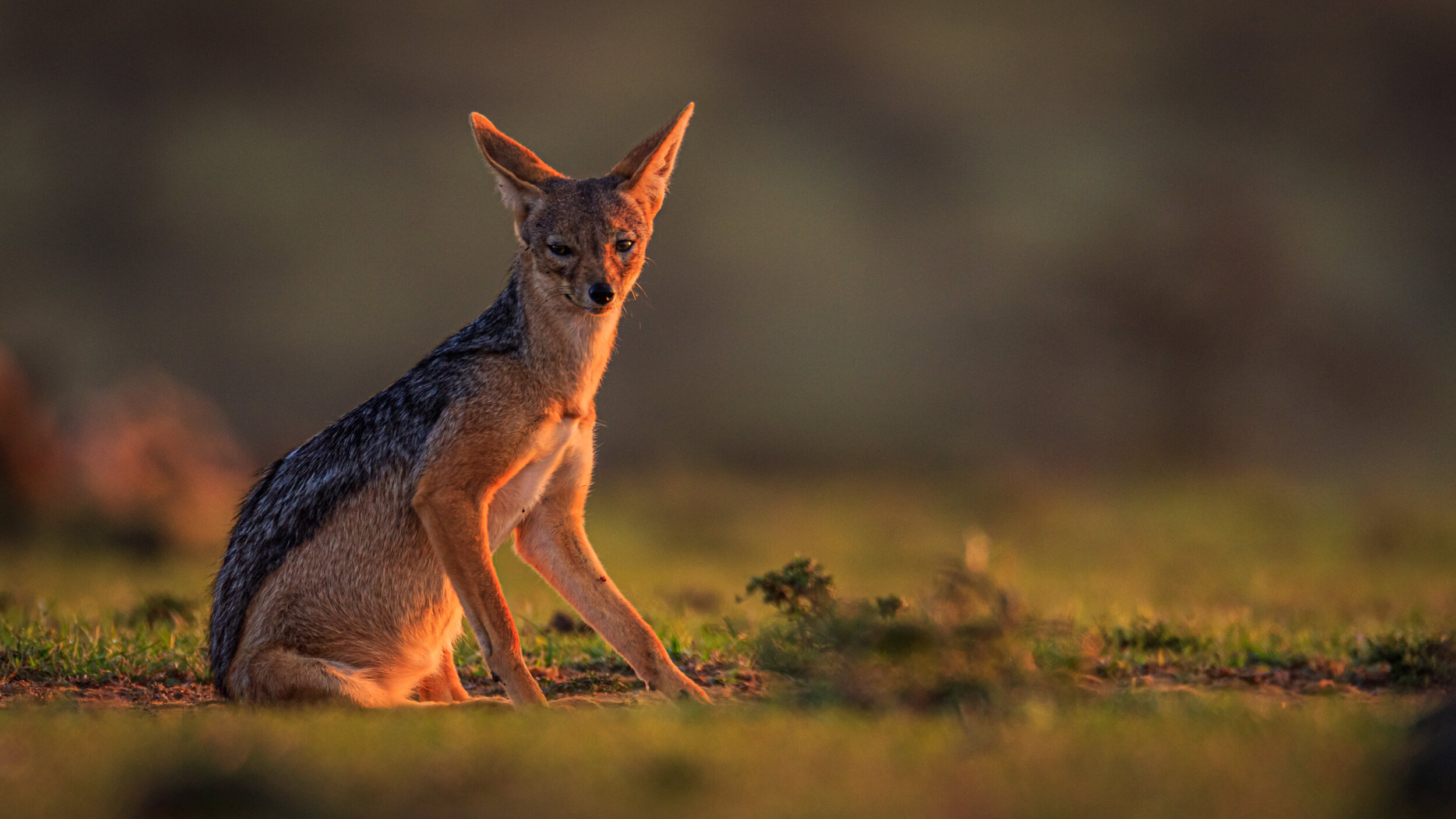 Safaricom_NatGeo_171017_6857.jpg