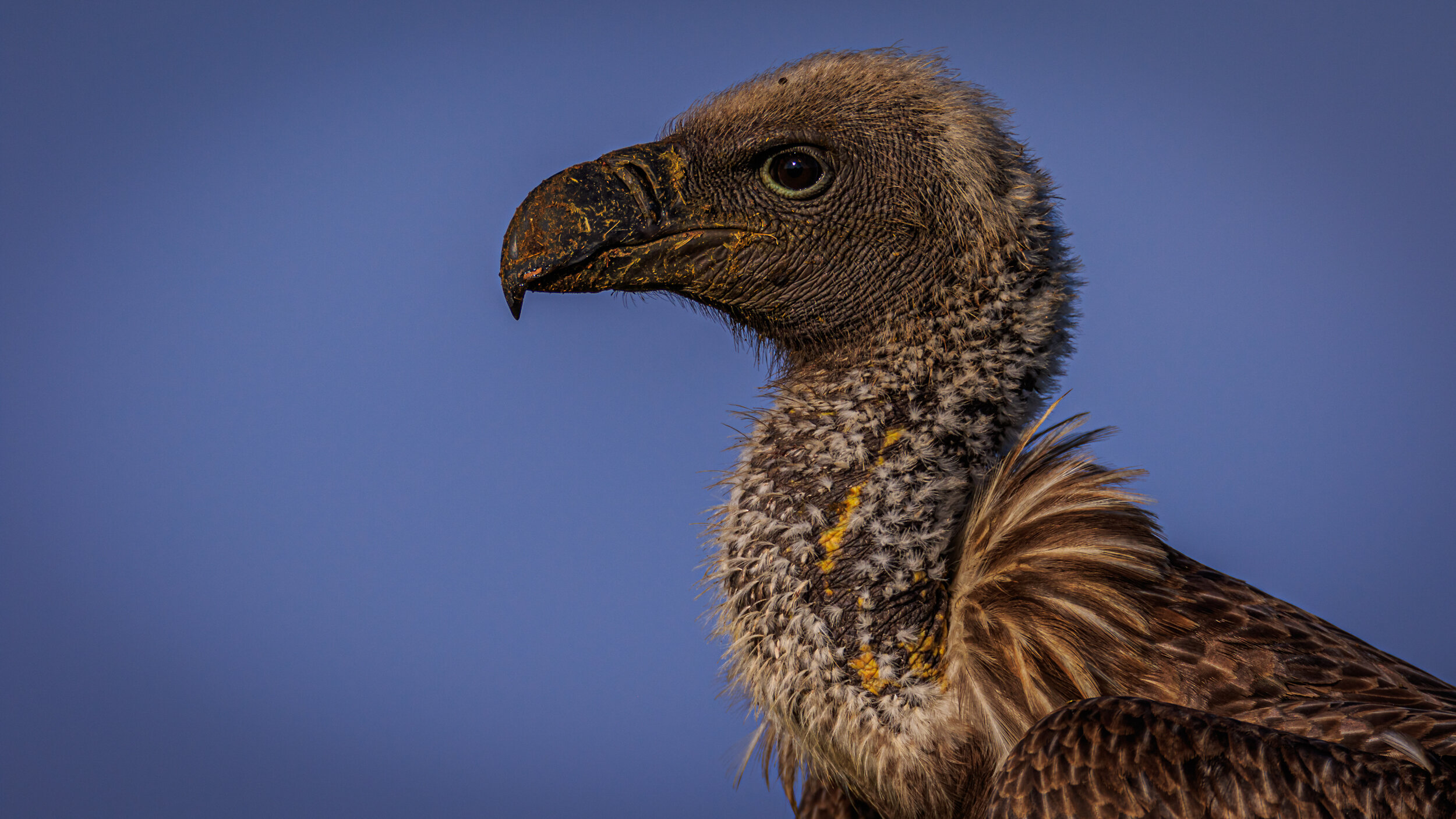 Safaricom_NatGeo_171017_6863.jpg