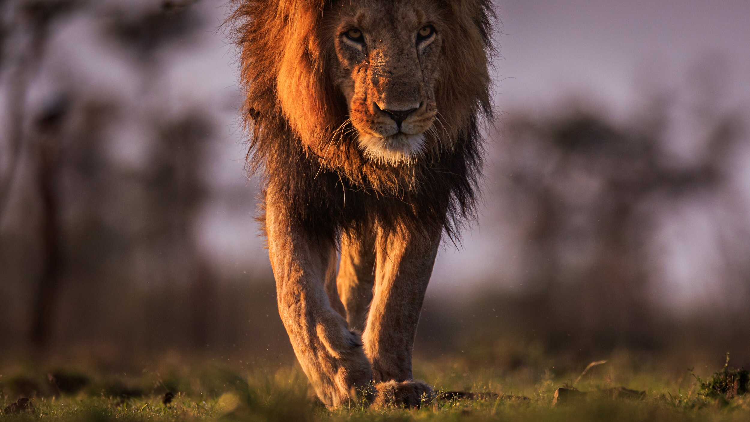 Safaricom_NatGeo_171017_7171.jpg