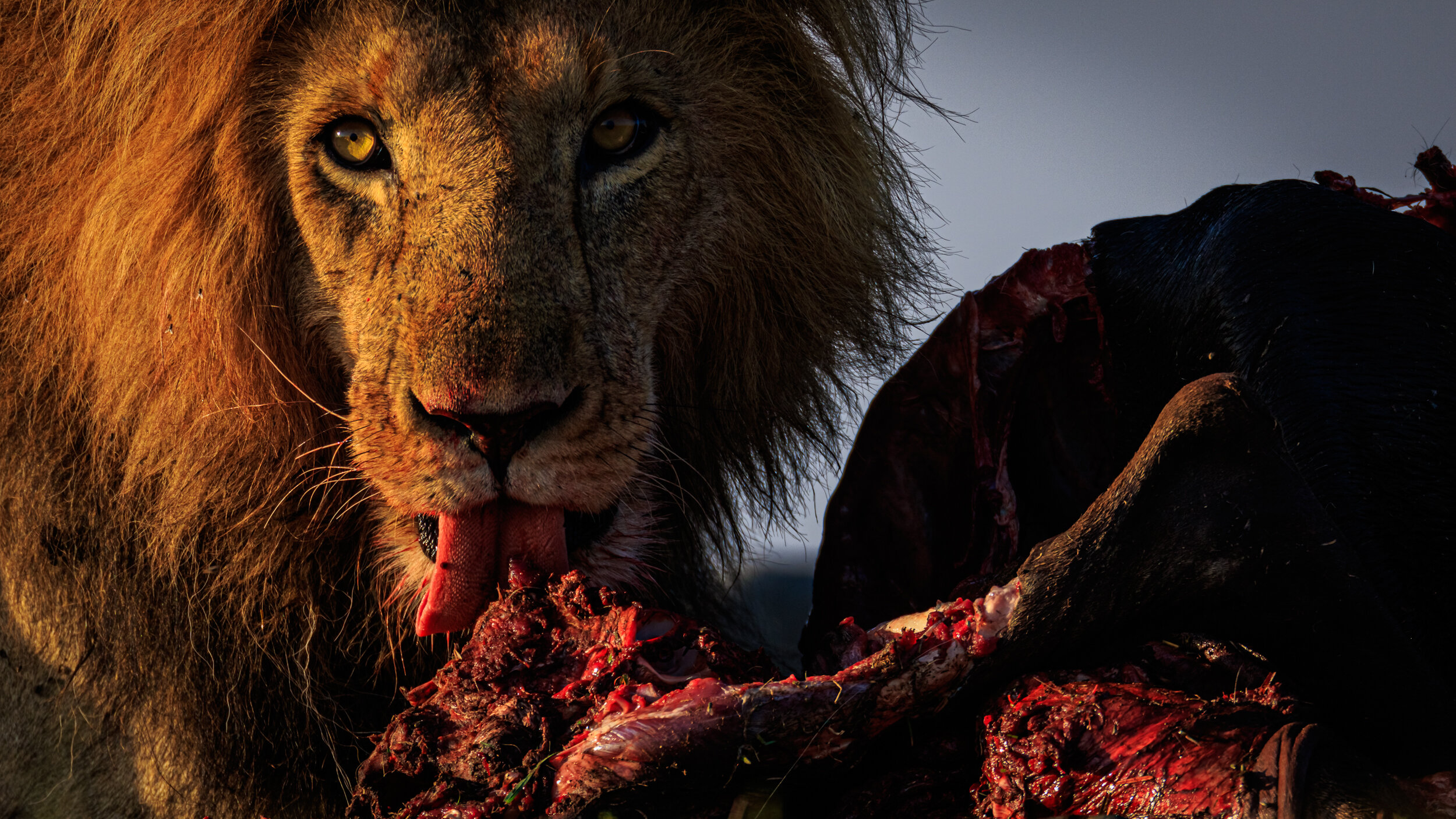 Safaricom_NatGeo_171017_6881.jpg