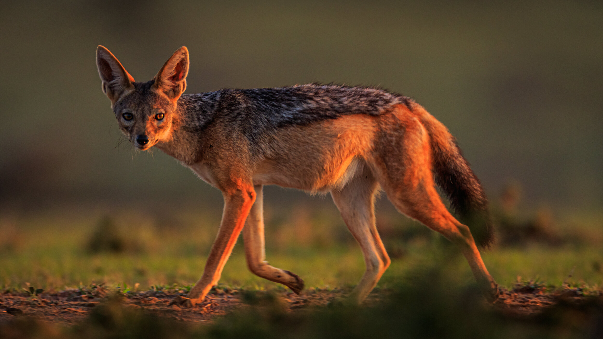 Safaricom_NatGeo_171017_7257.jpg