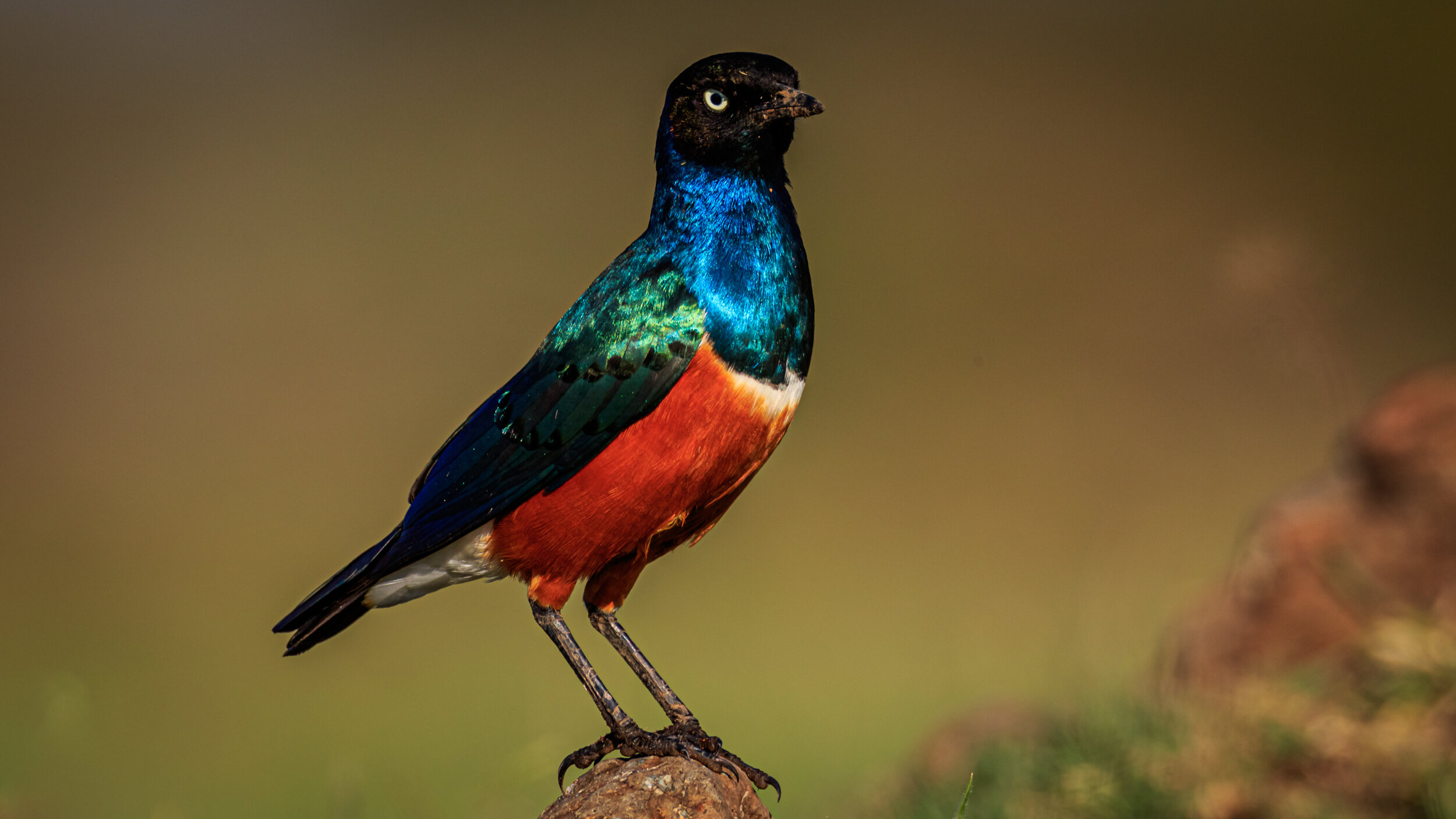 Safaricom_NatGeo_171017_7418.jpg