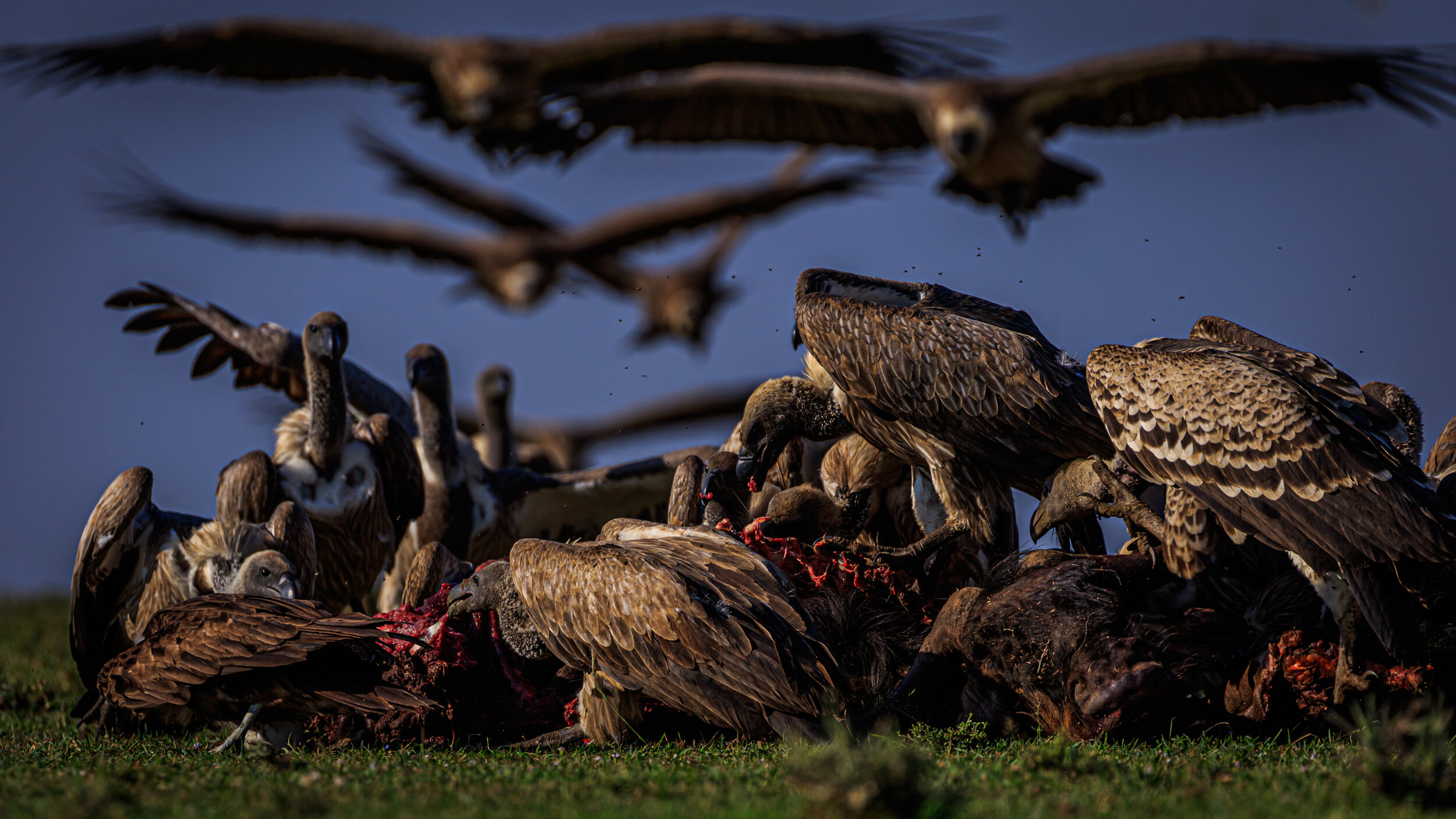 Safaricom_NatGeo_171017_7457.jpg