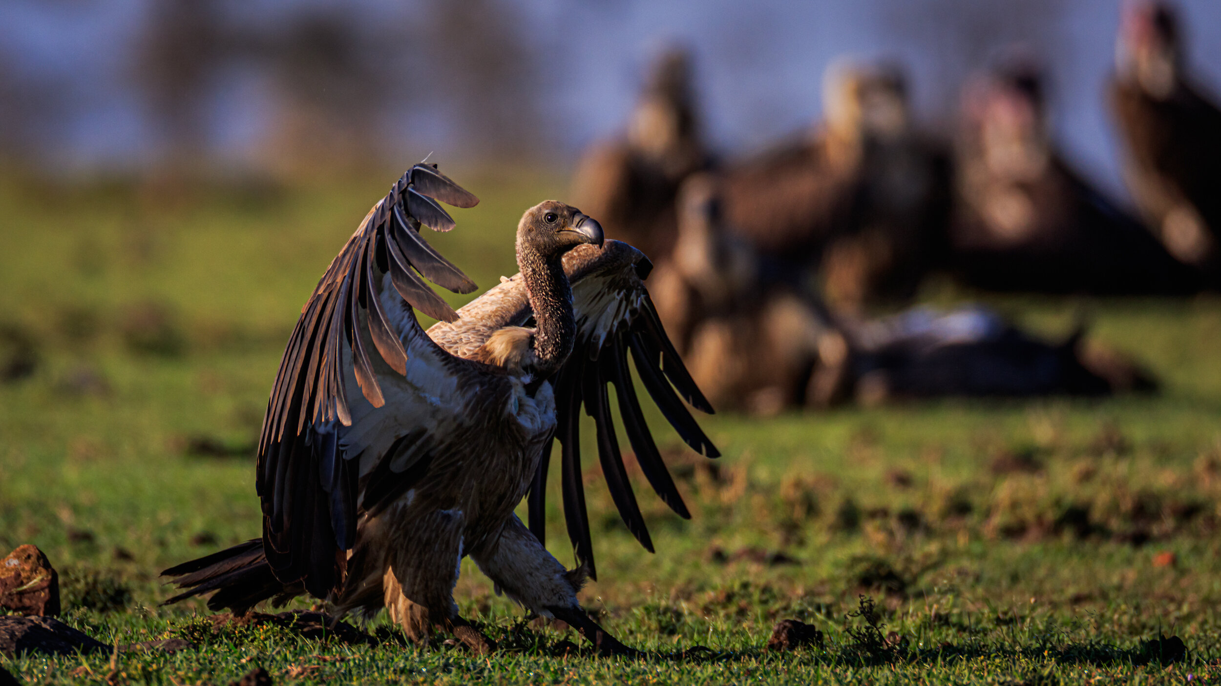 Safaricom_NatGeo_171017_7513.jpg