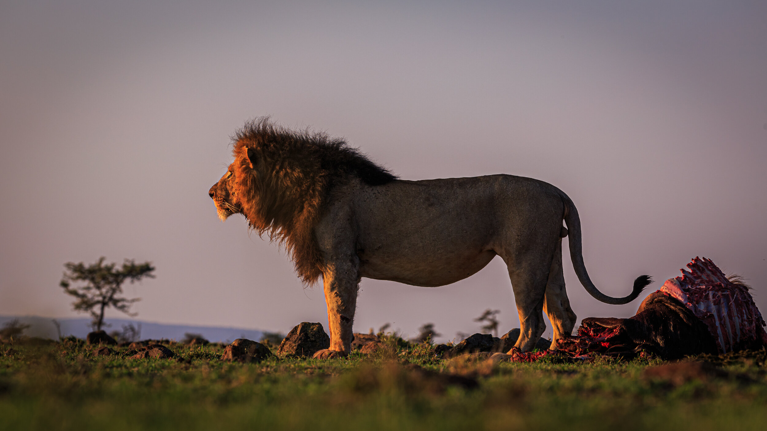 Safaricom_NatGeo_171017_7986.jpg