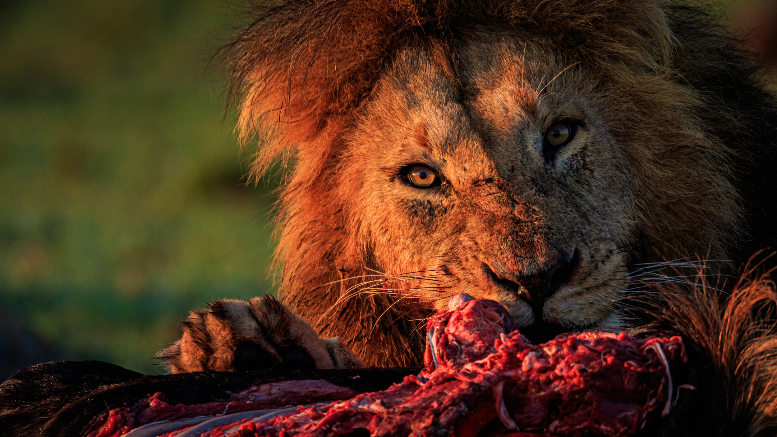 Safaricom_NatGeo_171017_7530.jpg