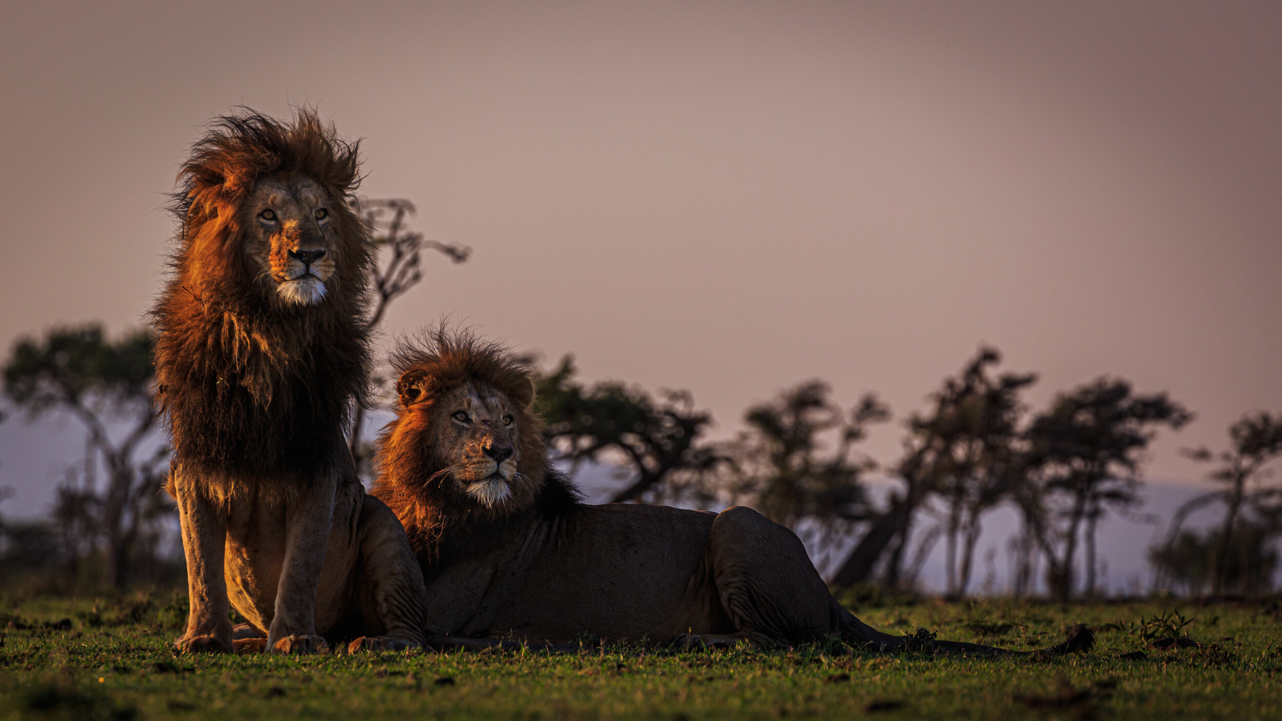 Safaricom_NatGeo_171017_8117.jpg