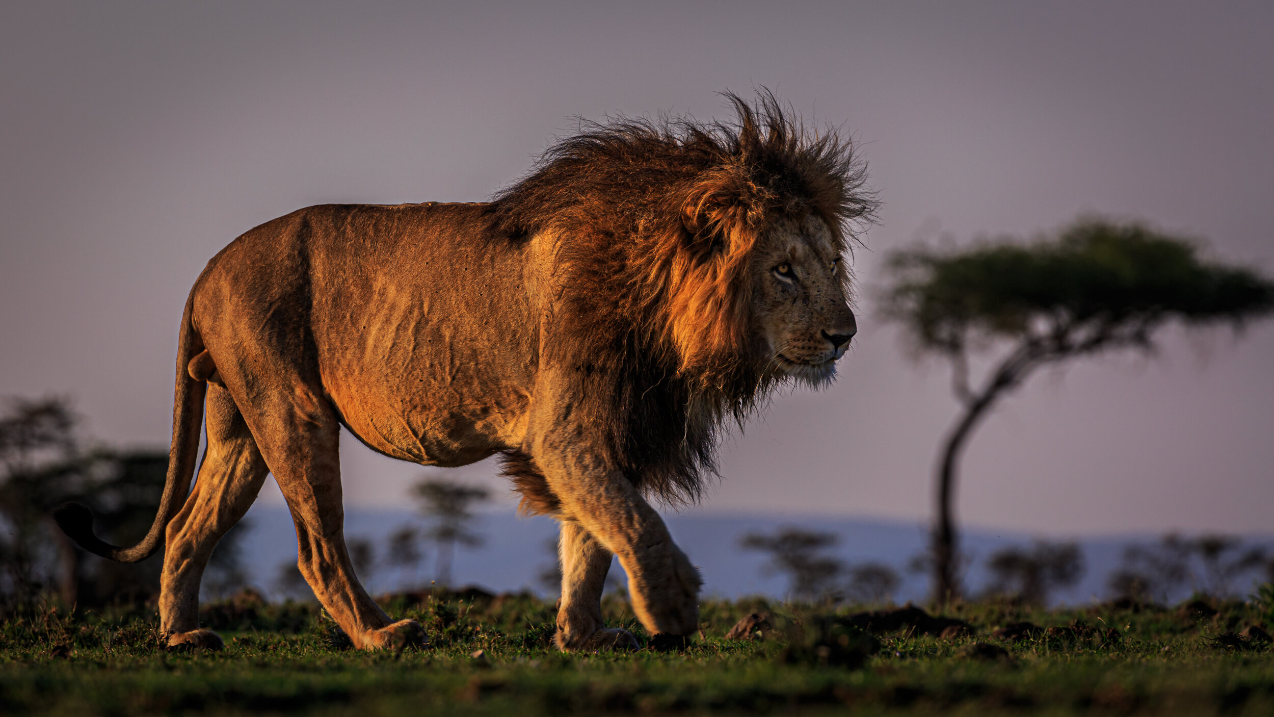 Safaricom_NatGeo_171017_8122.jpg