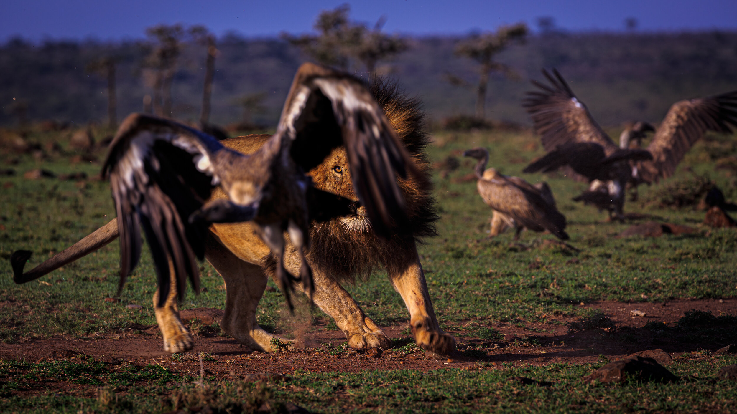 Safaricom_NatGeo_171017_8164.jpg