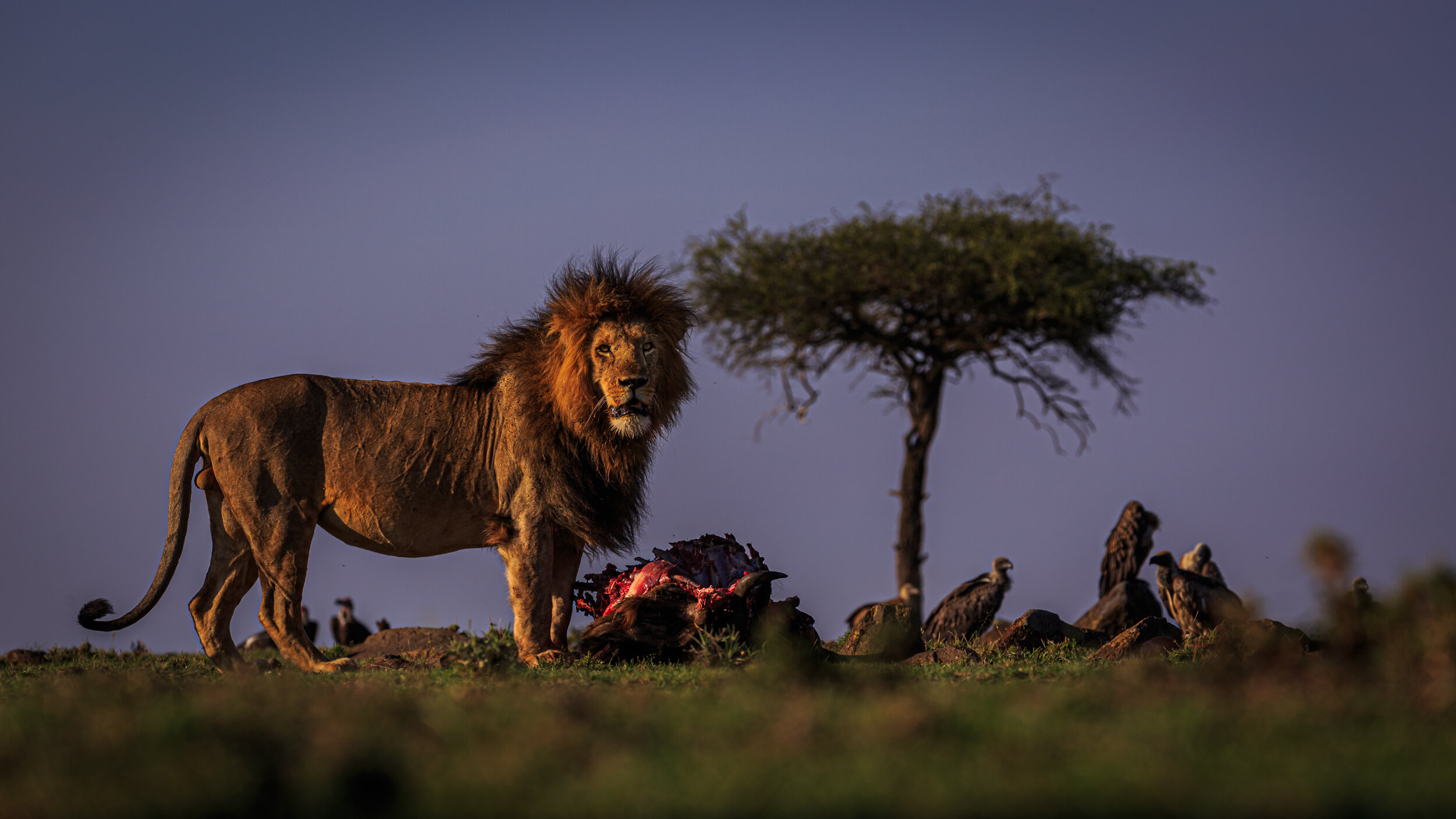 Safaricom_NatGeo_171017_8311.jpg