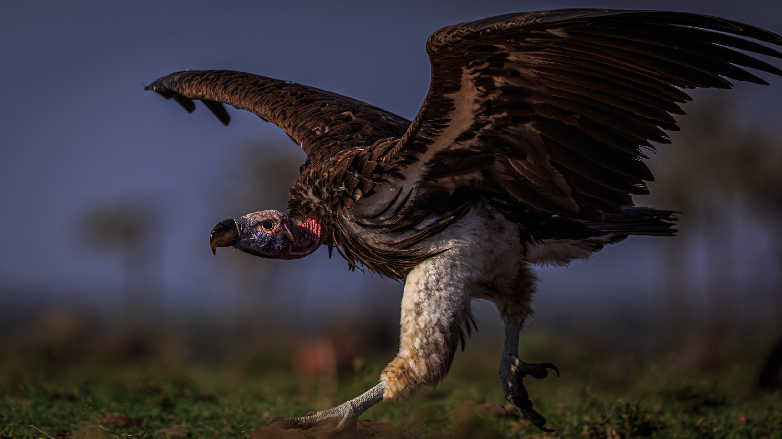 Safaricom_NatGeo_171017_8444.jpg