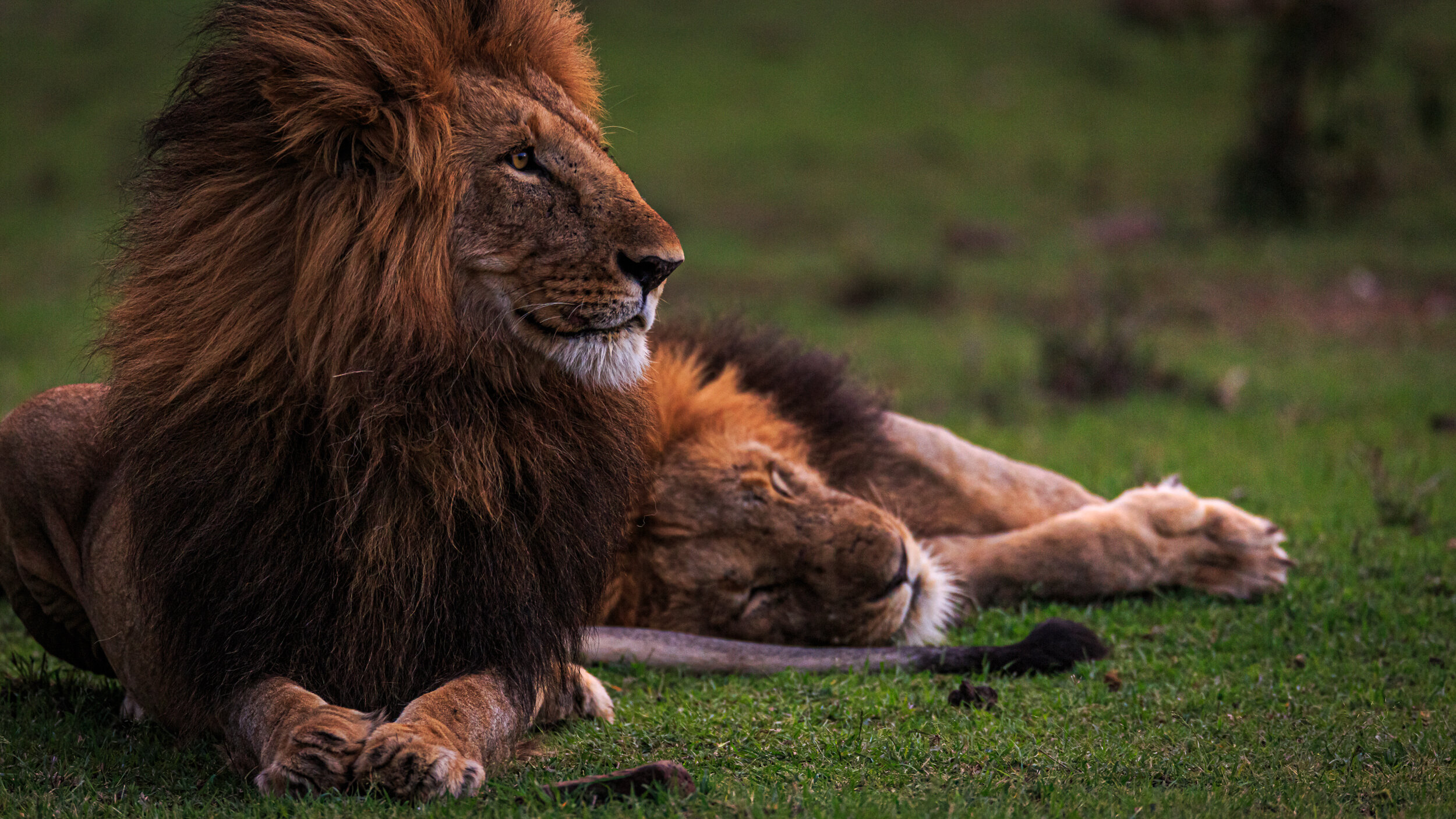 Safaricom_NatGeo_171017_9182.jpg
