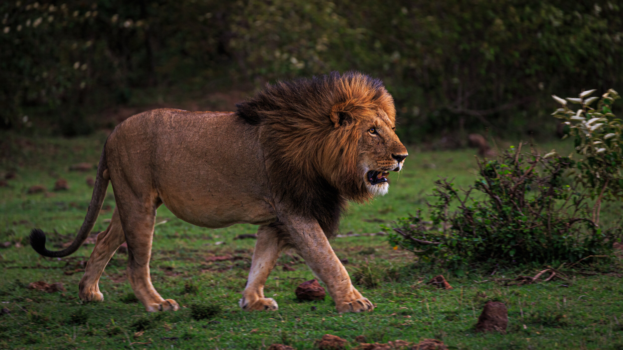 Safaricom_NatGeo_171017_9110.jpg