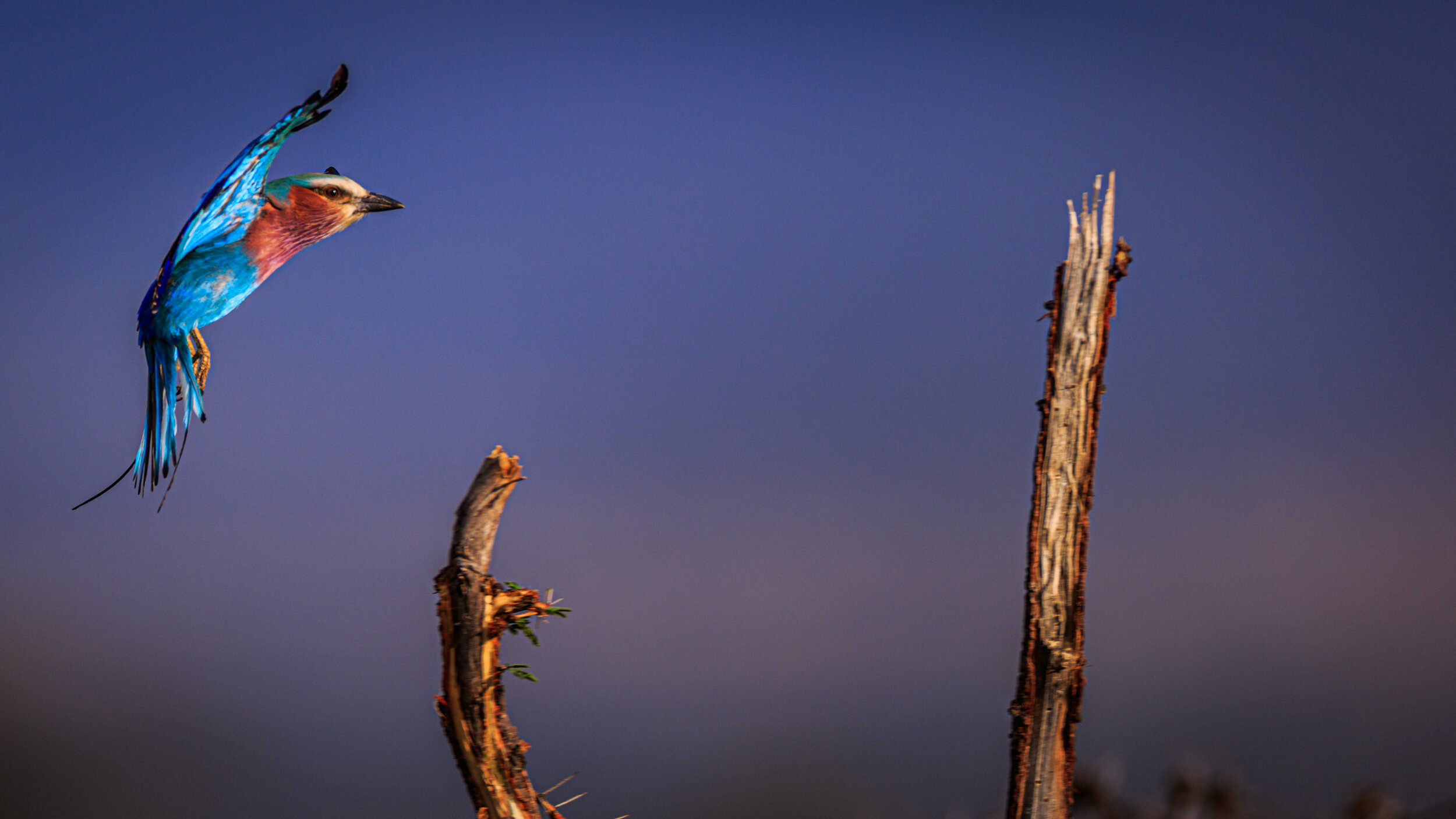 Safaricom_NatGeo_171017_9621.jpg