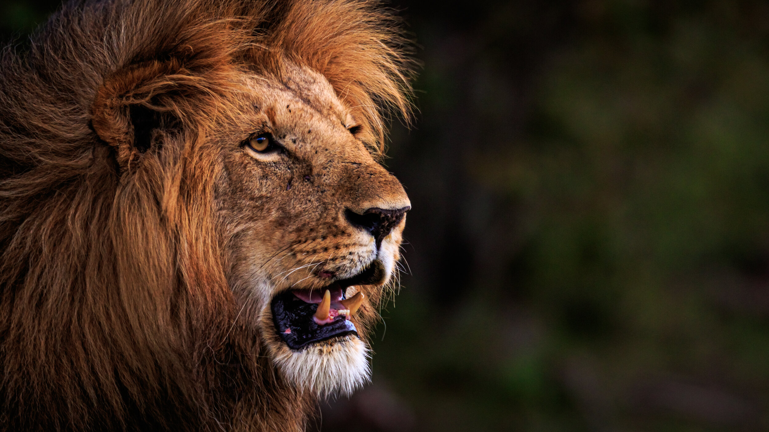 Safaricom_NatGeo_171017_9816.jpg