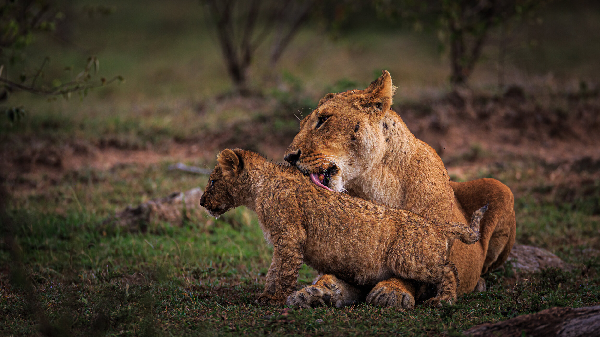 Safaricom_NatGeo_171018_10070.jpg