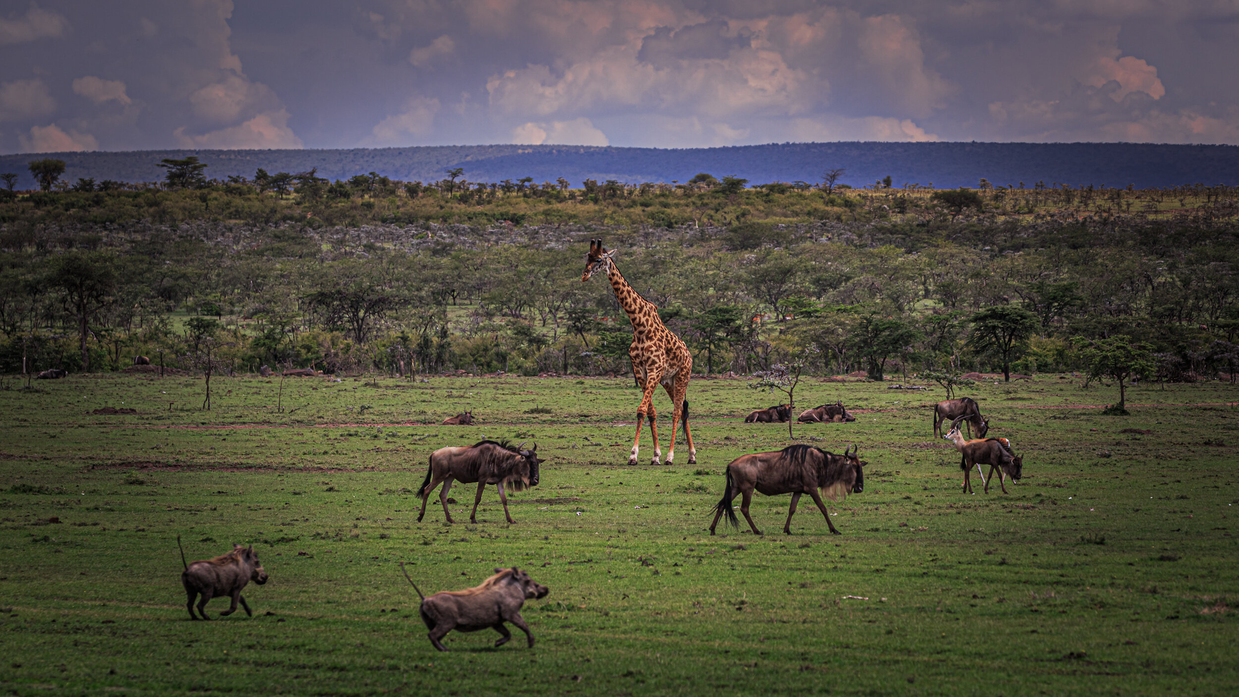 Safaricom_NatGeo_171018_10313.jpg