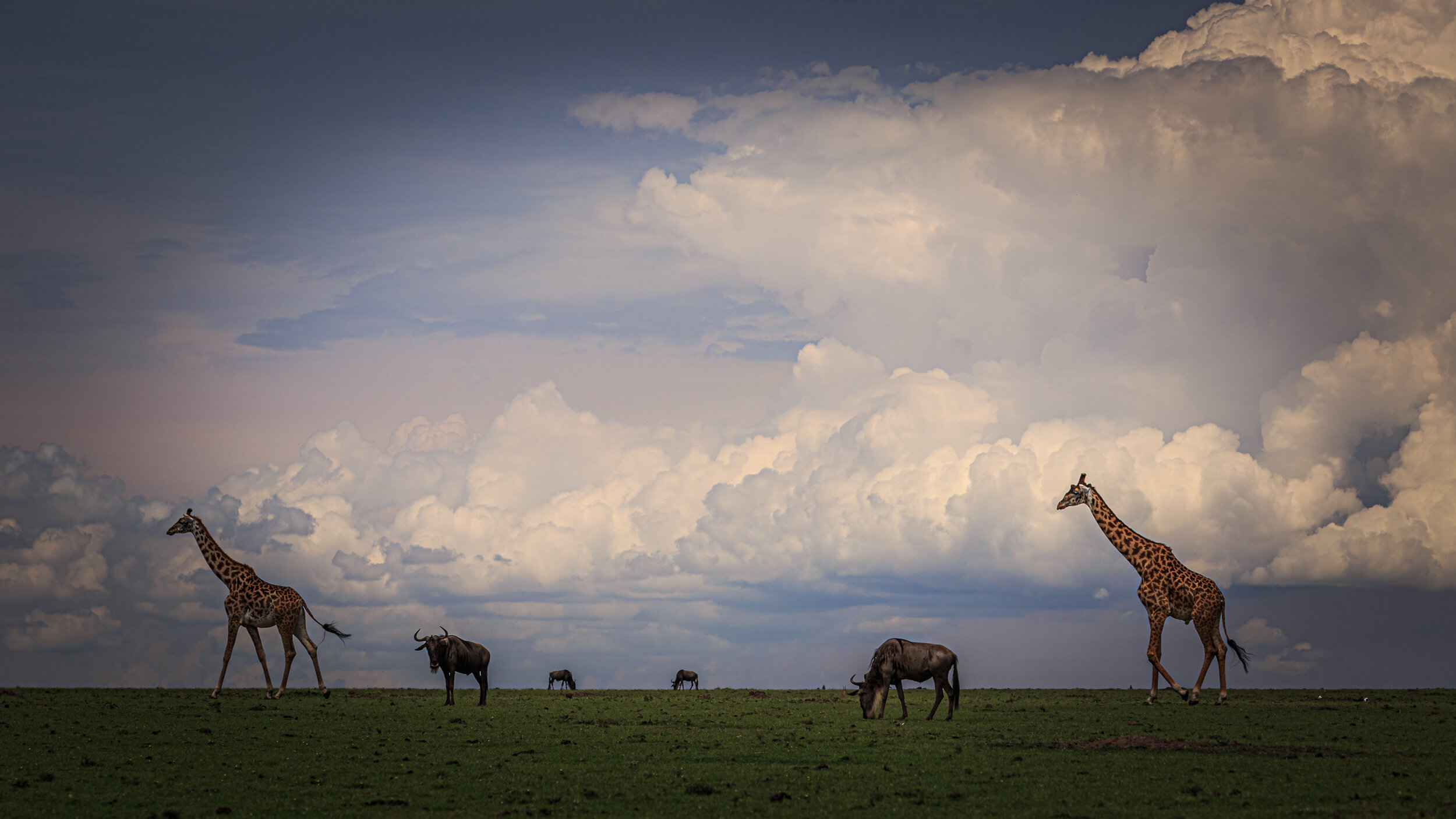 Safaricom_NatGeo_171018_10378.jpg