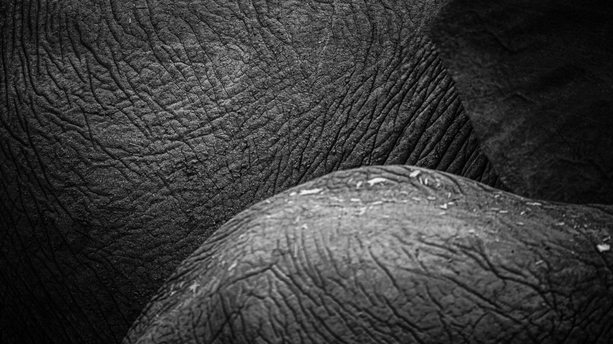 Safaricom_NatGeo_171018_10751.jpg